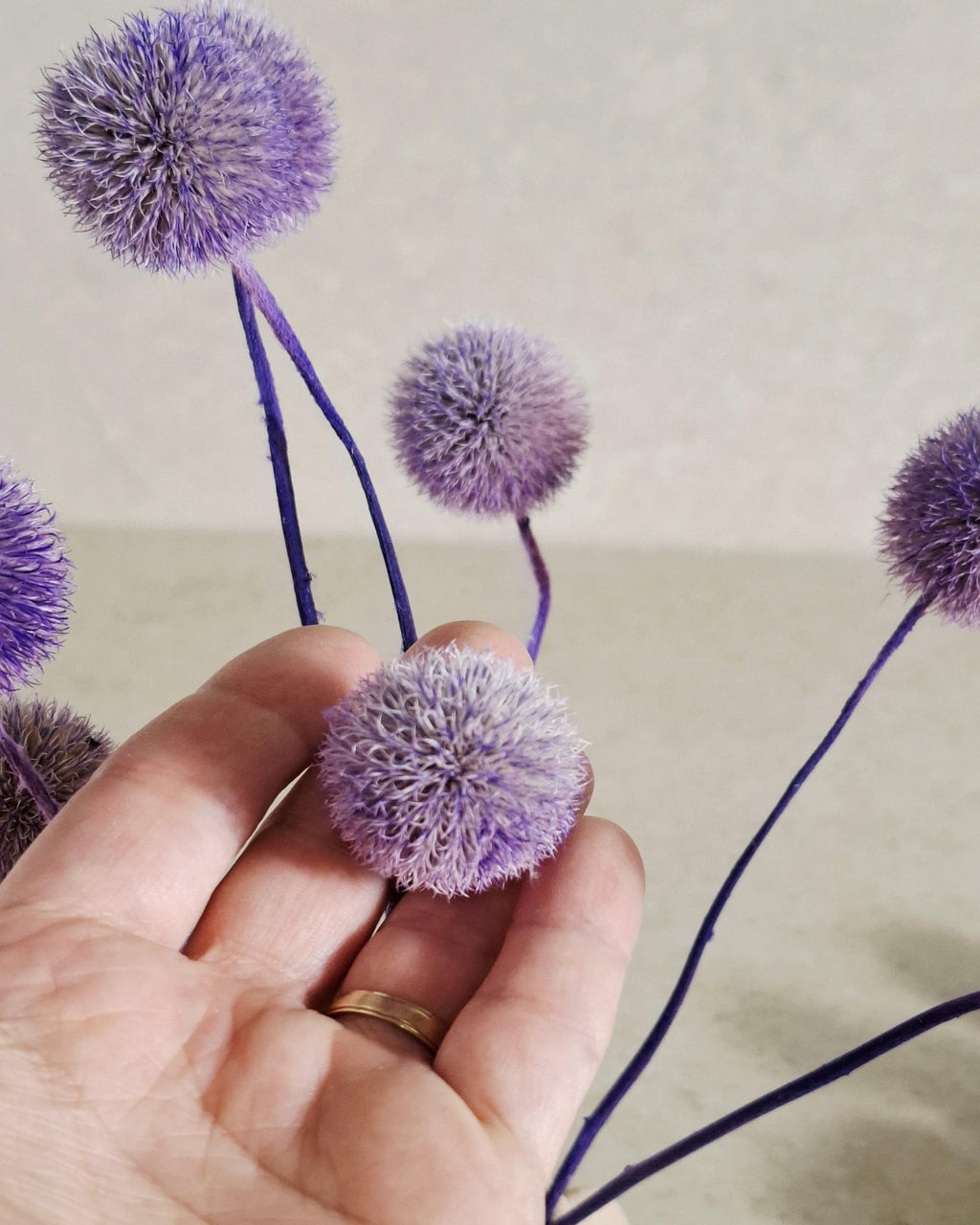 Purple Globe Thistle Stems, Dried Echinops, Purple Dried Flowers, Floral Supply, Craft Material, Short Stems
