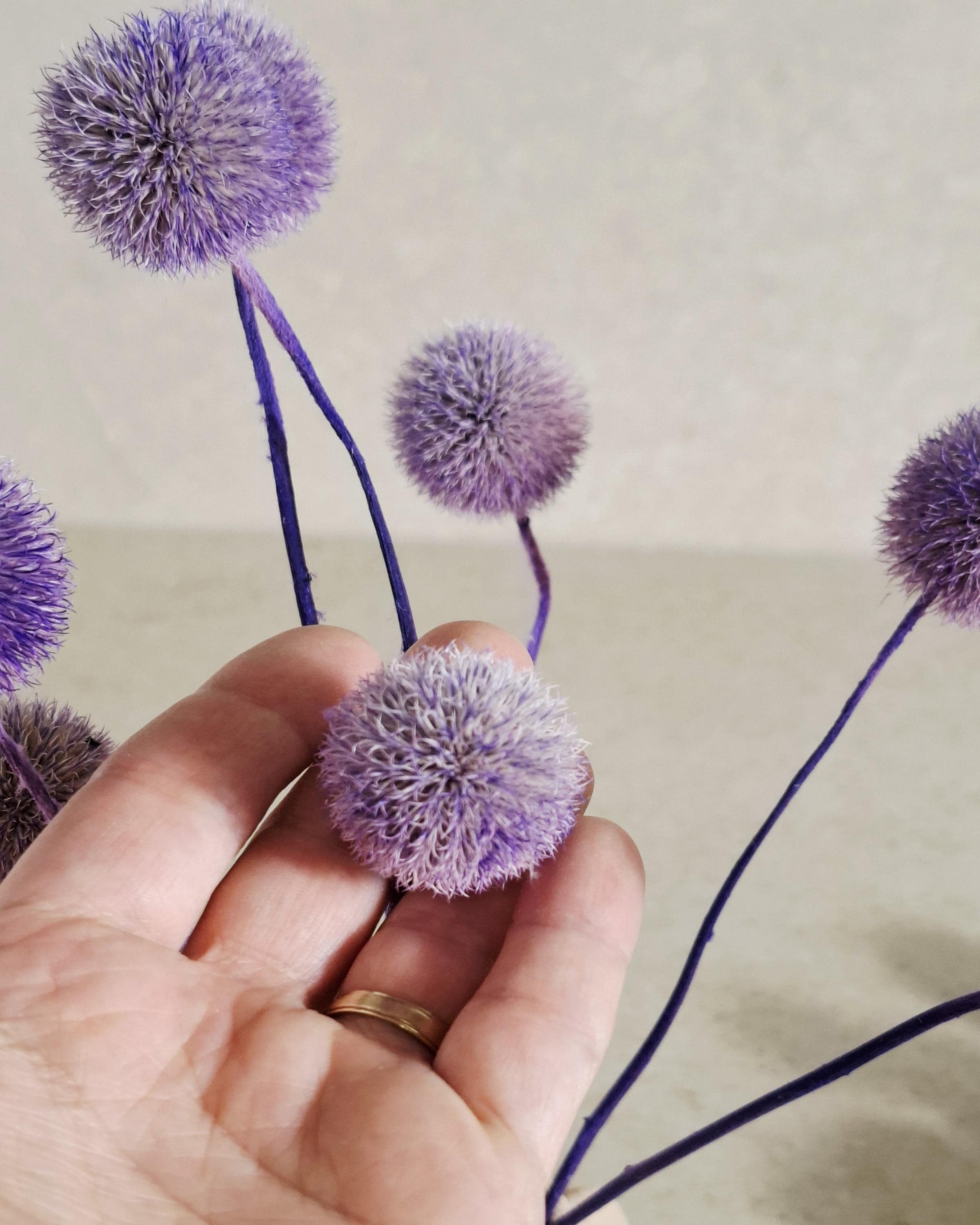 Purple Globe Thistle Stems, Dried Echinops, Purple Dried Flowers, Floral Supply, Craft Material, Short Stems