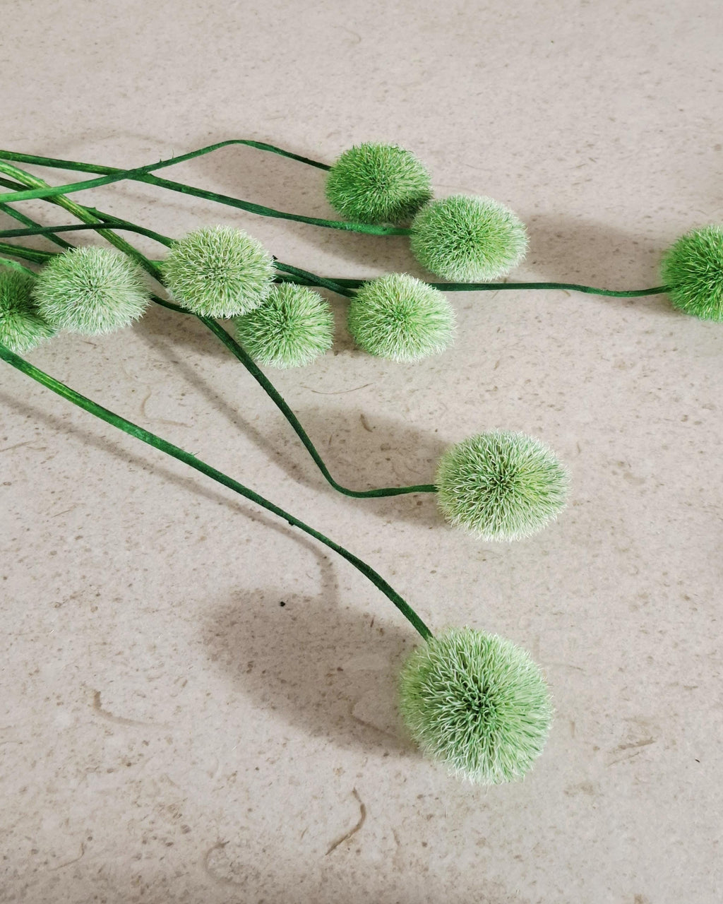 Green Globe Thistle Stems Echinops, Dyed Dried Flowers, Floral Supply, Green Decorative Stems, DIY Craft Material, Vase Filler