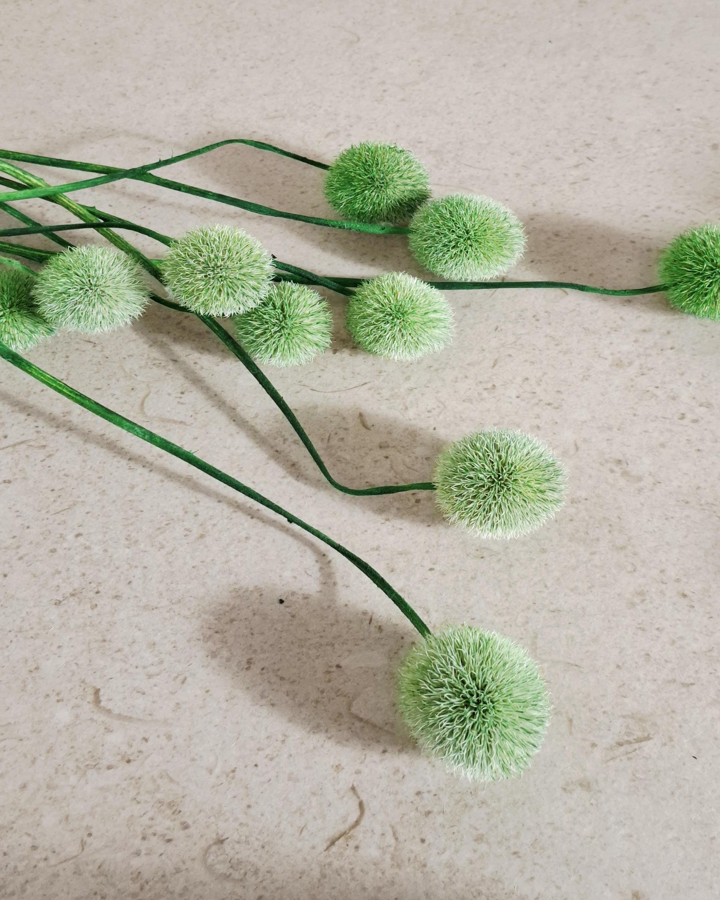 Green Globe Thistle Stems Echinops, Dyed Dried Flowers, Floral Supply, Green Decorative Stems, DIY Craft Material, Vase Filler