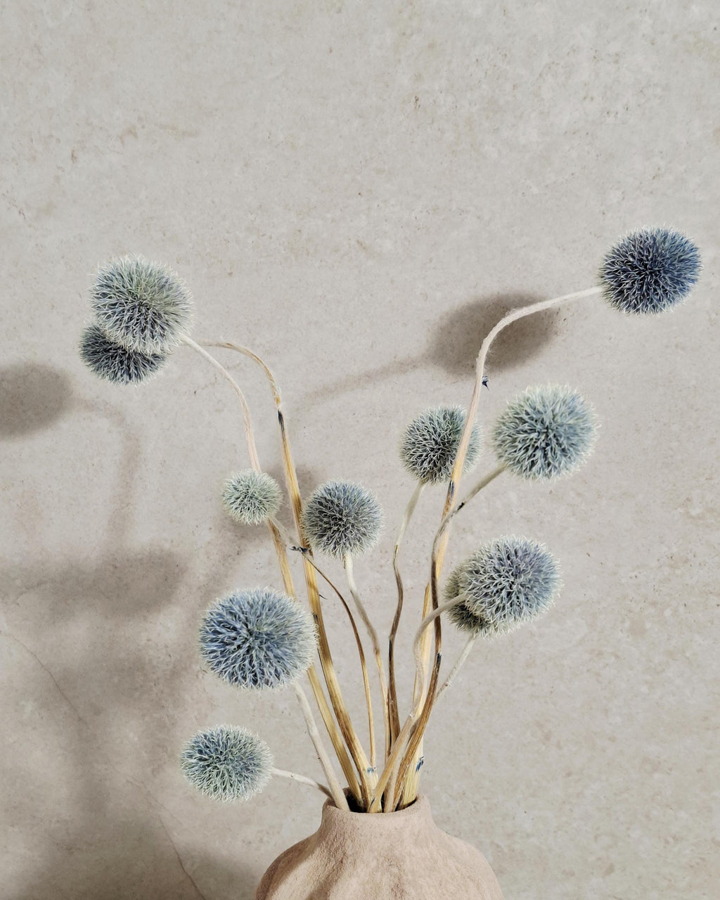 Blue Echinops Stems, Dyed Dried Flowers, Globe Thistle Stems, Grey Blue Floral Supply, Minimalist Decor, DIY Craft Material