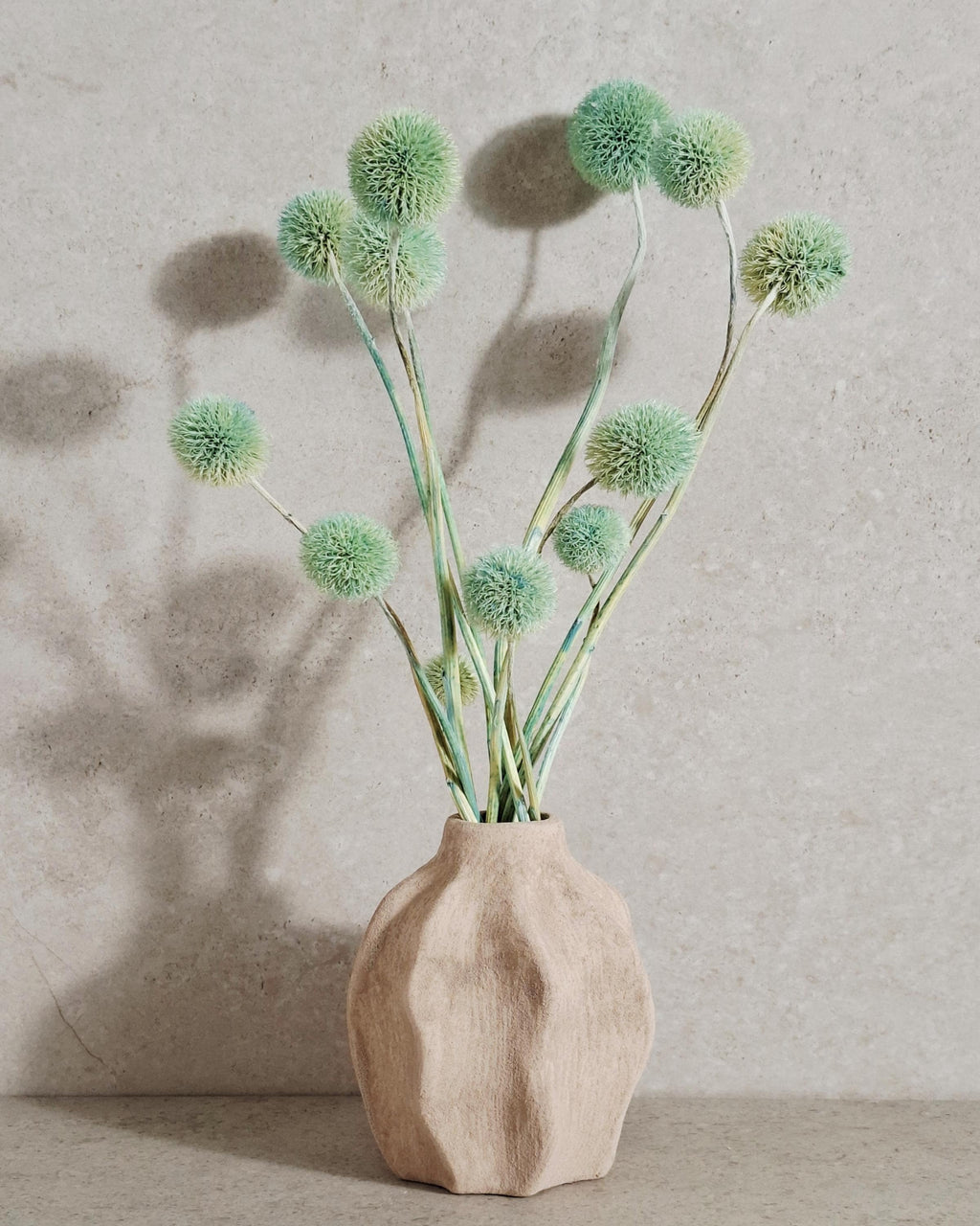 Dried Allium Stems Mint Green | Decorative Floral Material | Florist Supply | DIY Craft Flowers | Natural Style Decor