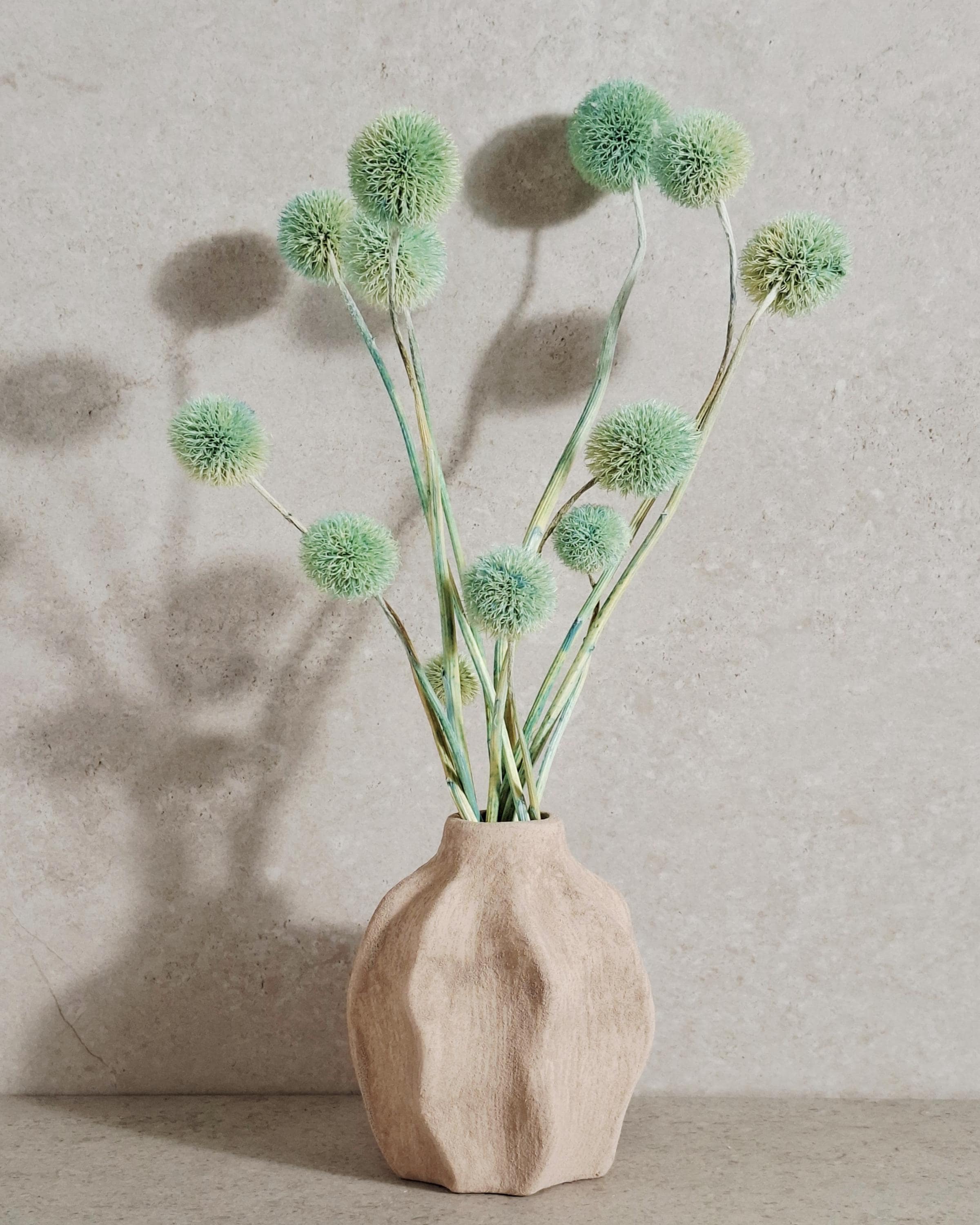 Dried Allium Stems Mint Green | Decorative Floral Material | Florist Supply | DIY Craft Flowers | Natural Style Decor