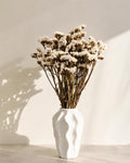 White Statice Bouquet, Dried Flowers, Limonium Bunch, Natural Home Decor, Wedding Decor, Craft Flowers, 100g