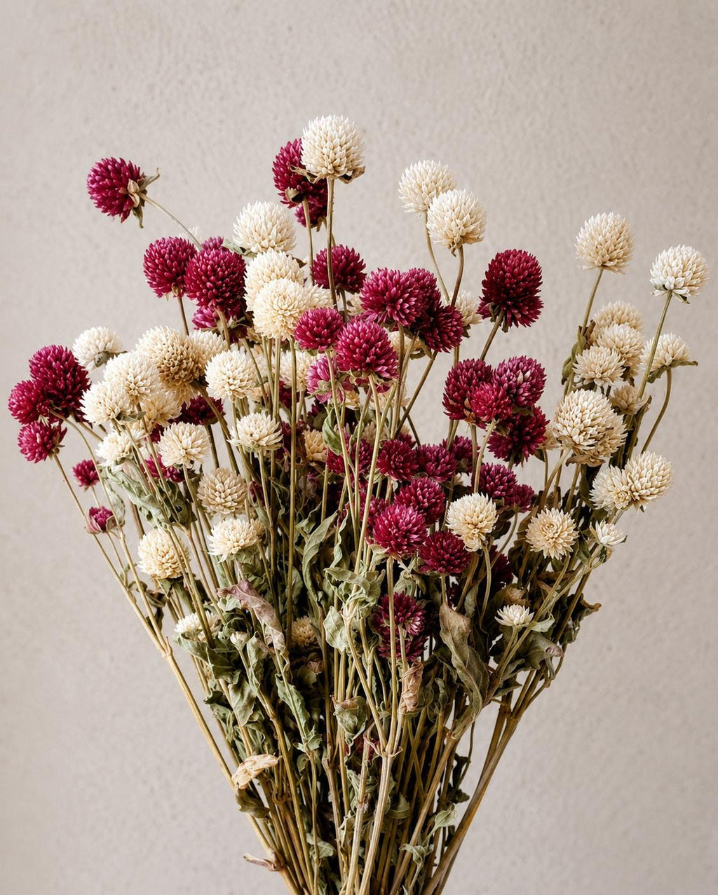 Dried Gomphrena Bouquet Mix Pink & Ivory, 10 Stems as Shown, Preserved Flowers, Boho Decor, Neutral Floral Arrangement, Ready to Ship