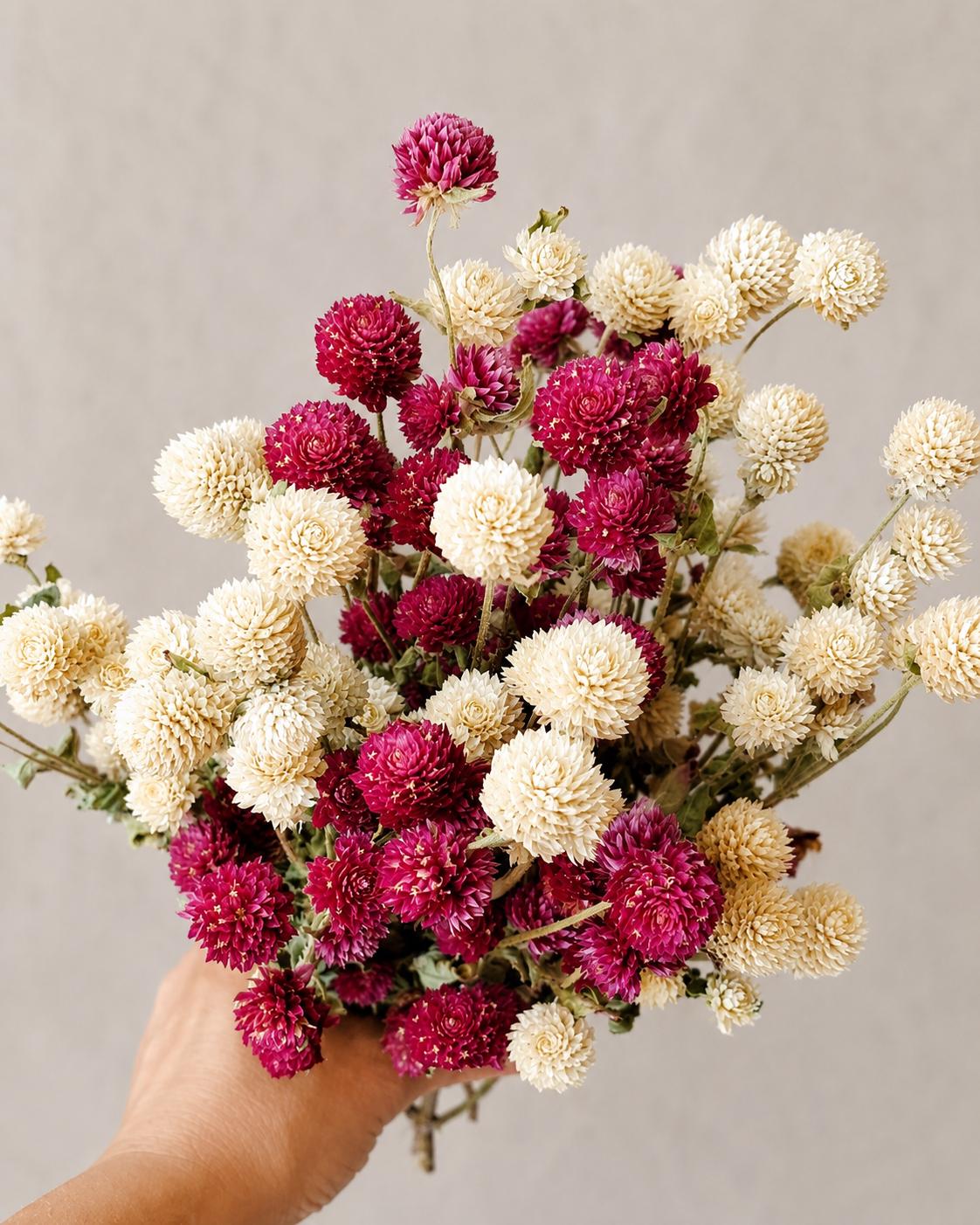 Dried Gomphrena Bouquet Mix Pink & Ivory, 10 Stems as Shown, Preserved Flowers, Boho Decor, Neutral Floral Arrangement, Ready to Ship