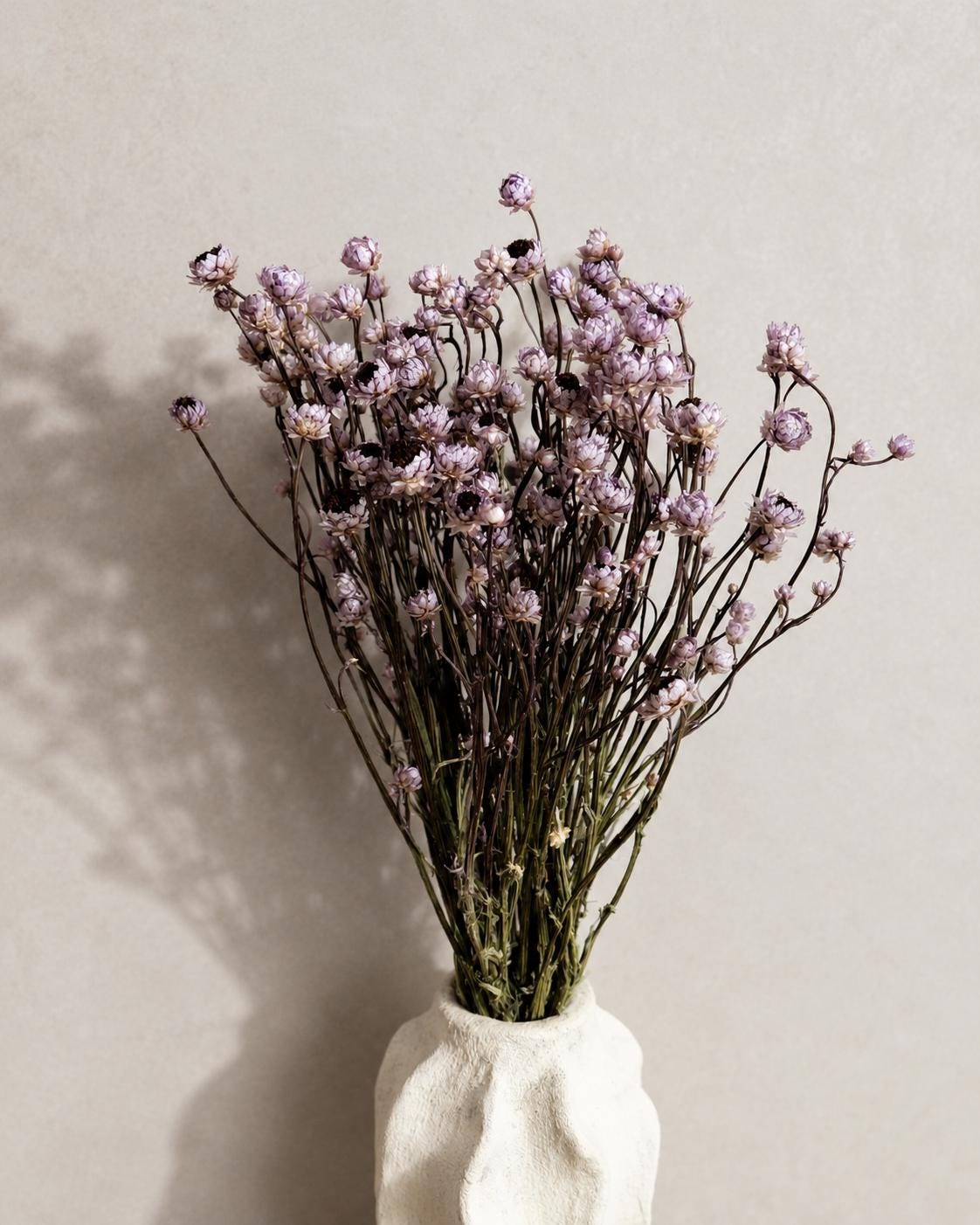 Dusty Lavender Ammobium Bouquet, Stabilized Dried Flowers, Minimalist Vase Decor, Neutral Home Decor, Office Decor, Wedding Decor