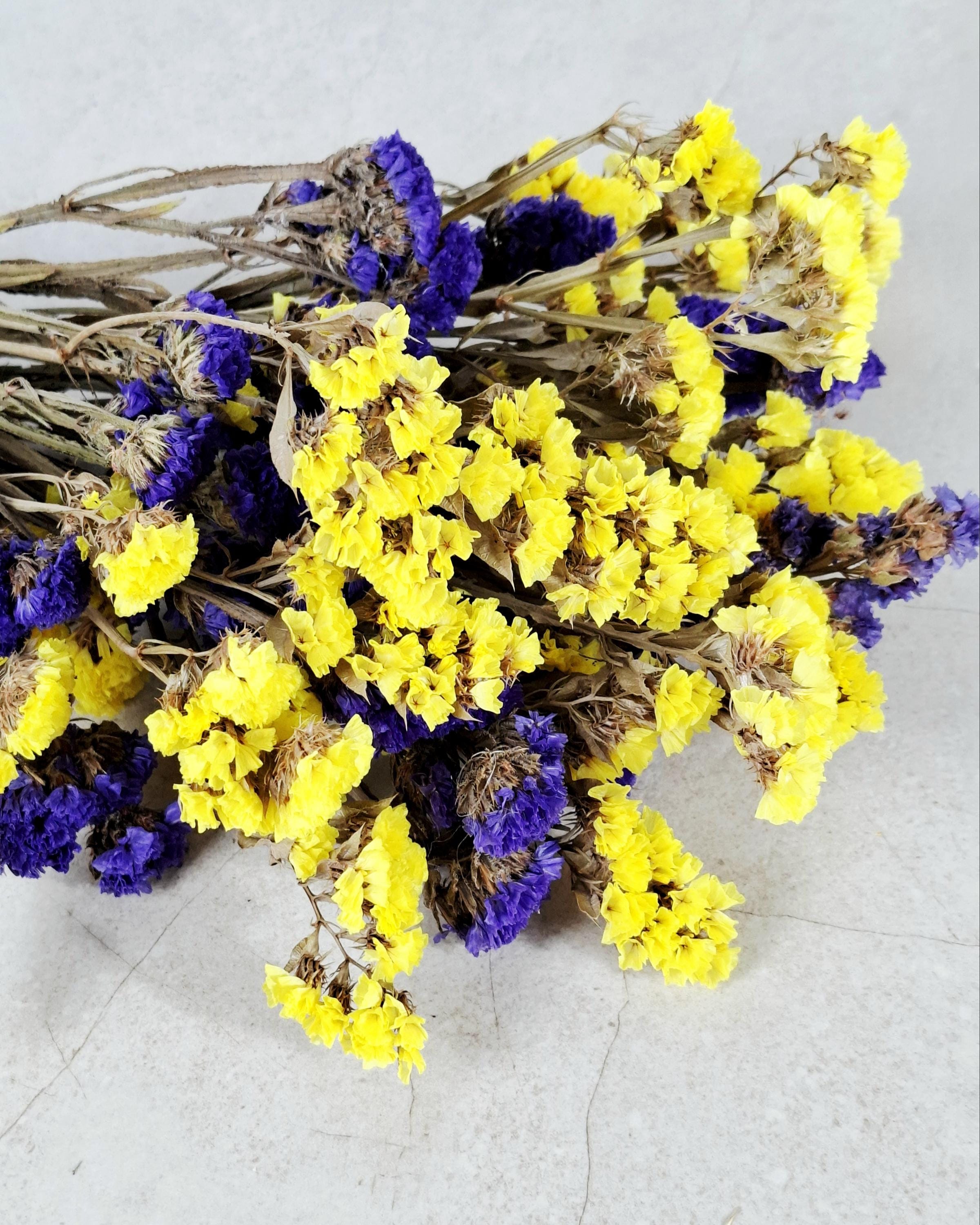 Yellow Purple Statice Flowers, Dried Limonium Bouquet, Two Tone Dried Flowers, Bright Floral Decor, Vase Arrangement, Craft Flowers