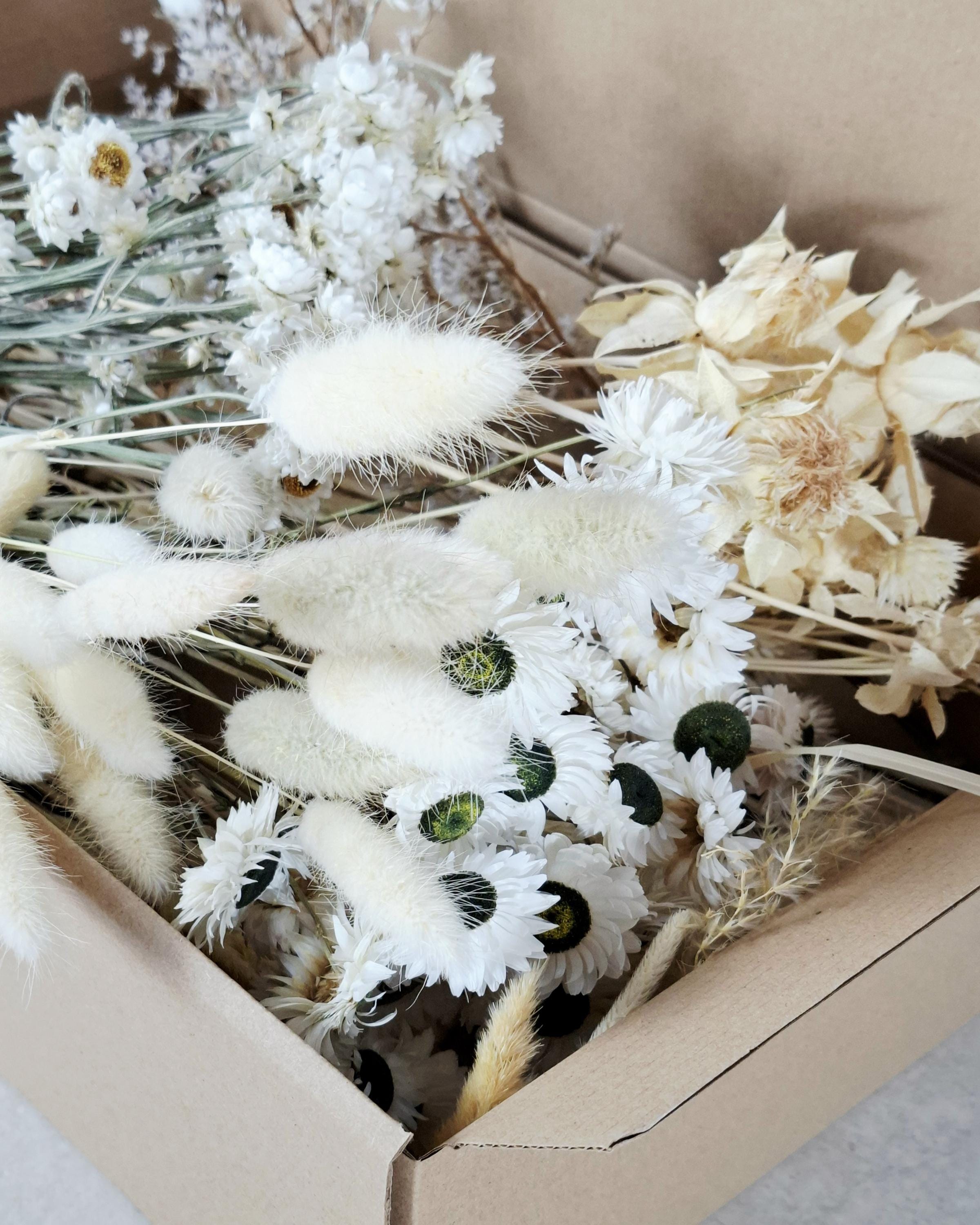 White Dried Flower Box for Crafts – Neutral DIY Floral Kit, Boho Dried Flowers Mix, Floral Supply Box for Resin Art, Candles & Decor