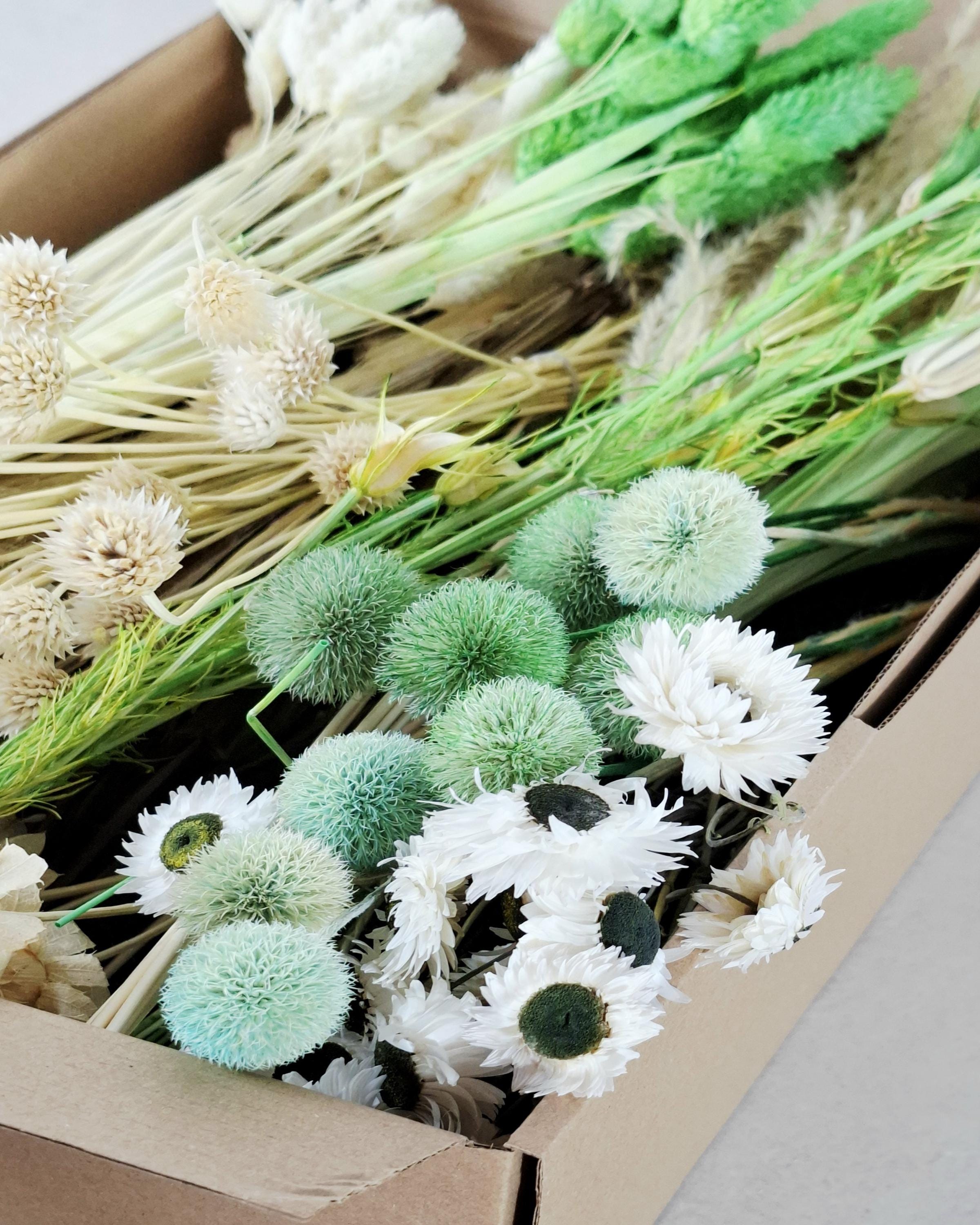 White & Green Dried Flower Box for Crafts – Botanical DIY Floral Kit, Natural Floral Supply Box for Resin Art, Candles Decor