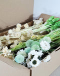 White & Green Dried Flower Box for Crafts – Botanical DIY Floral Kit, Natural Floral Supply Box for Resin Art, Candles Decor
