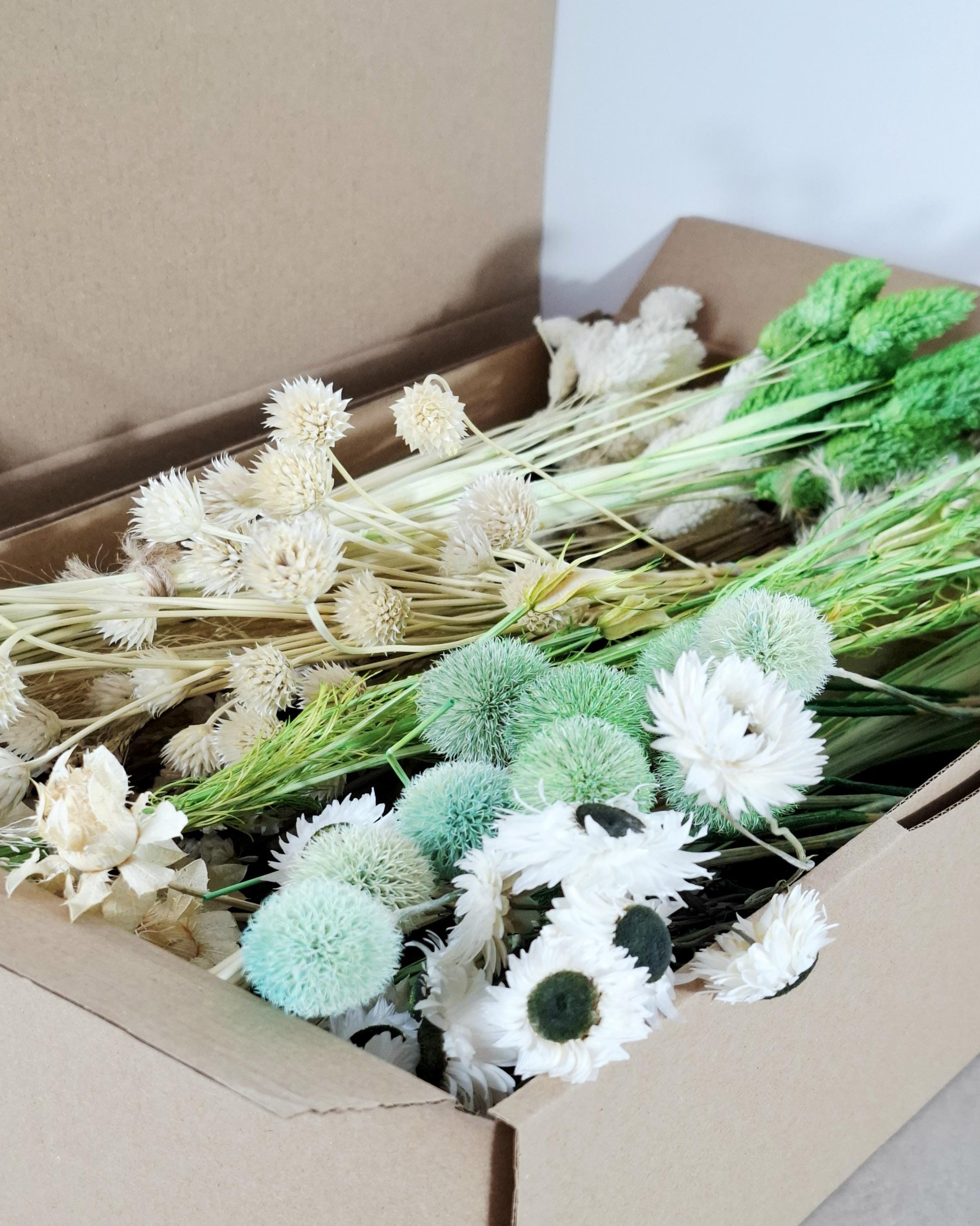 White & Green Dried Flower Box for Crafts – Botanical DIY Floral Kit, Natural Floral Supply Box for Resin Art, Candles Decor