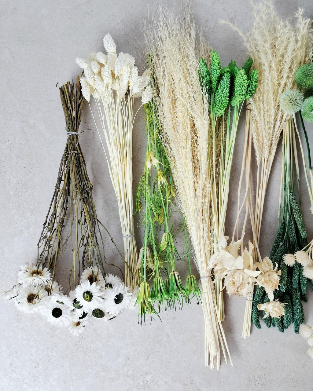 White & Green Dried Flower Box for Crafts – Botanical DIY Floral Kit, Natural Floral Supply Box for Resin Art, Candles Decor