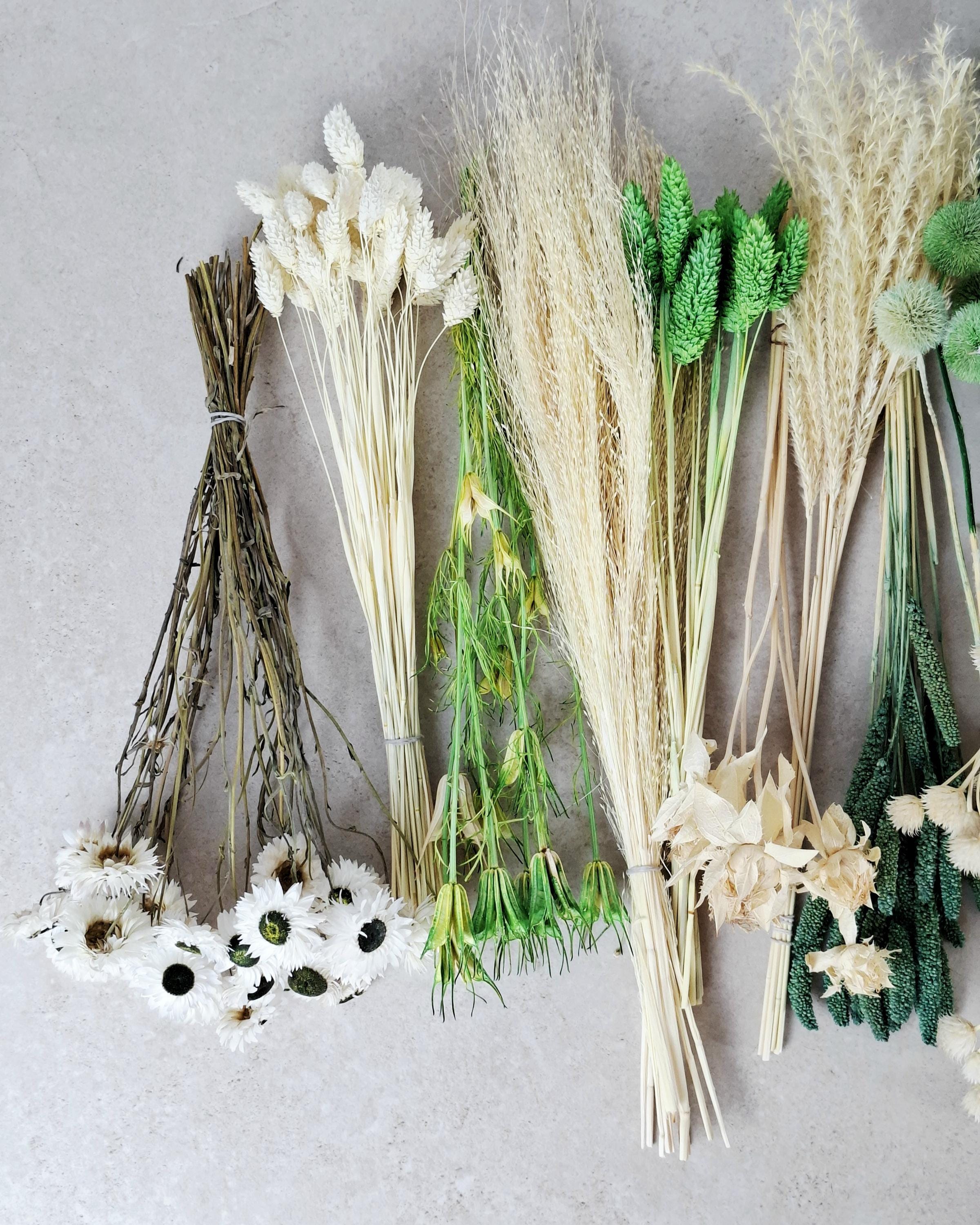White & Green Dried Flower Box for Crafts – Botanical DIY Floral Kit, Natural Floral Supply Box for Resin Art, Candles Decor