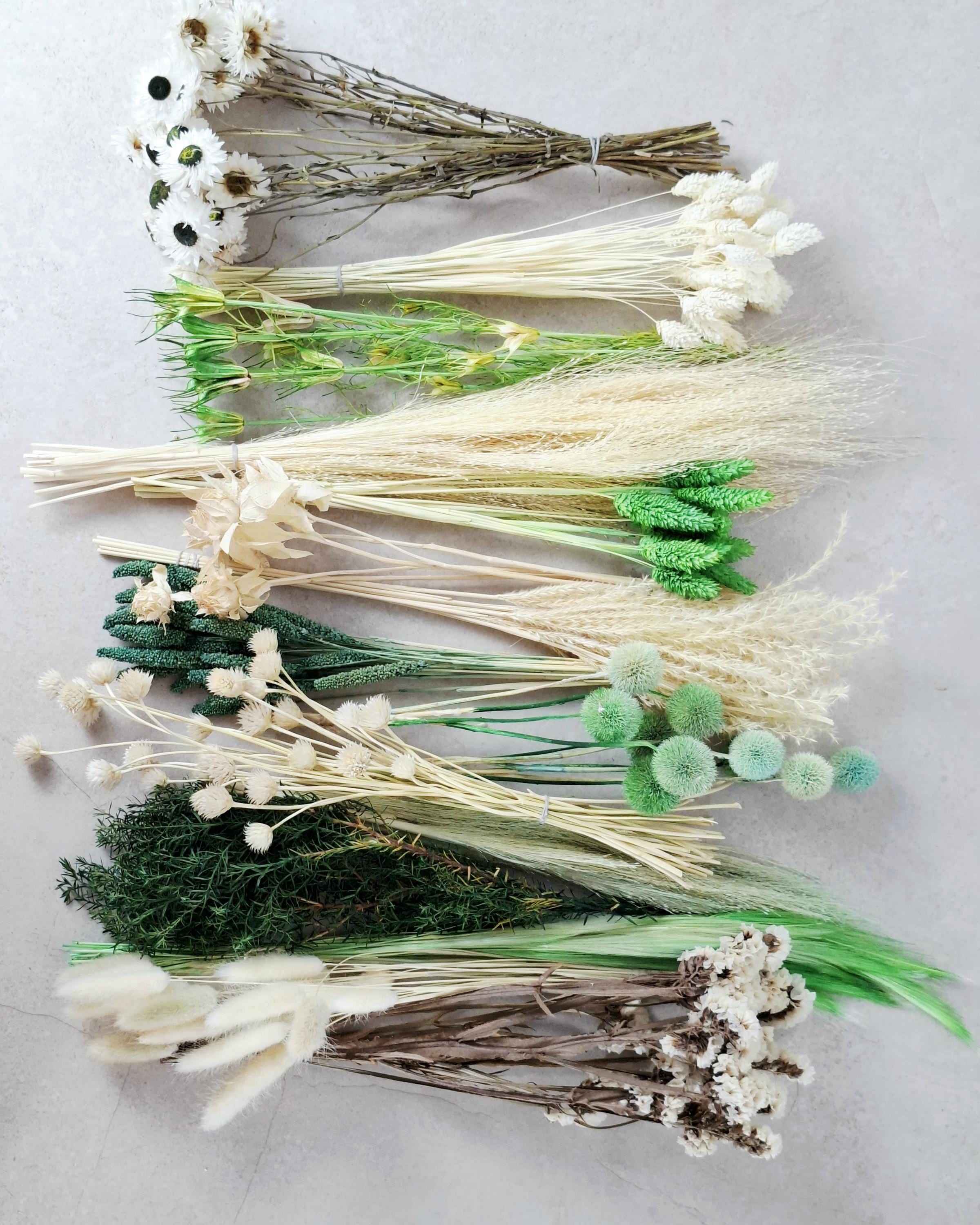 White & Green Dried Flower Box for Crafts – Botanical DIY Floral Kit, Natural Floral Supply Box for Resin Art, Candles Decor