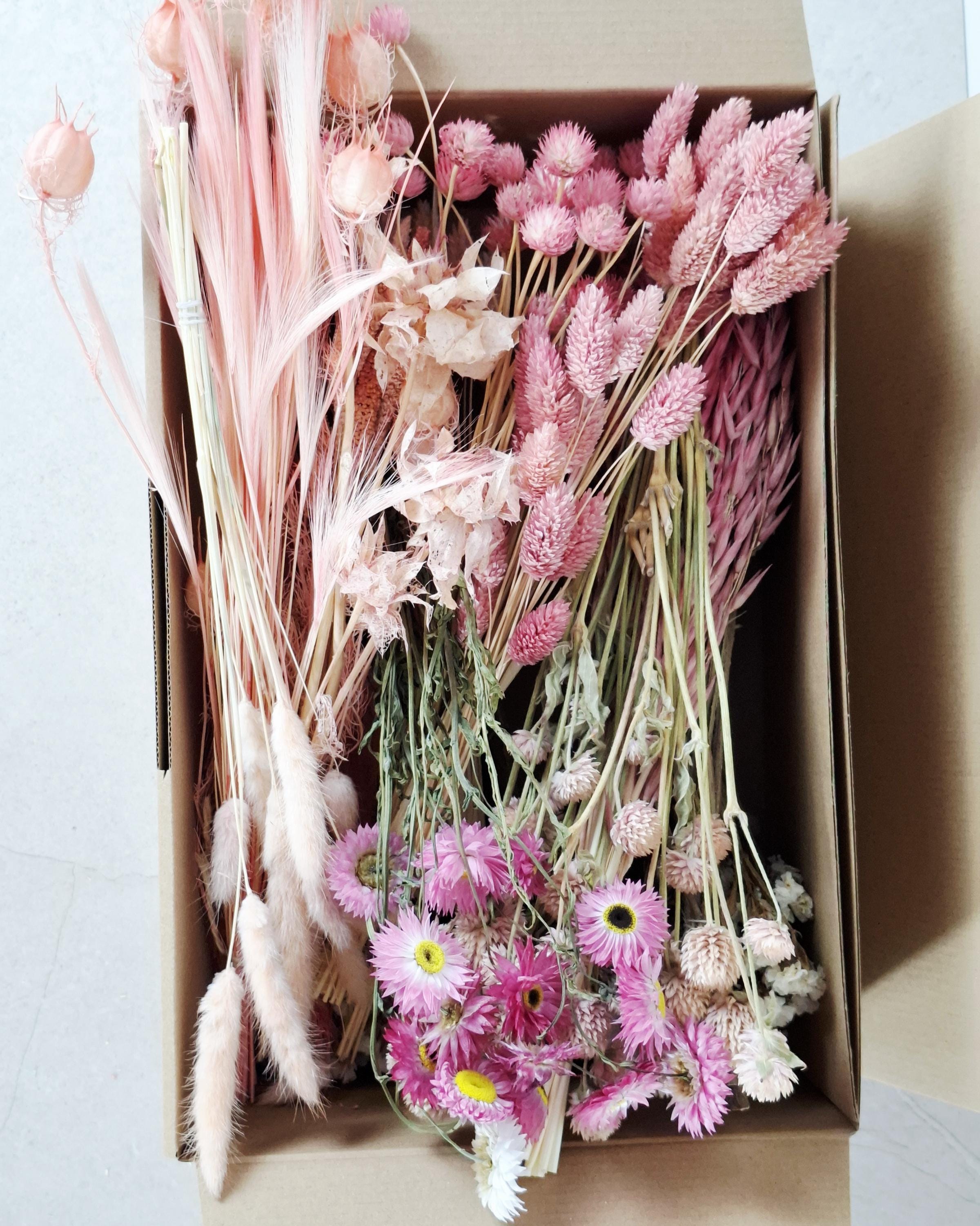 Pink Dried Flower Box for Crafts – Pastel DIY Floral Kit, Romantic Dried Flowers Mix for Resin Art, Candles & Decor