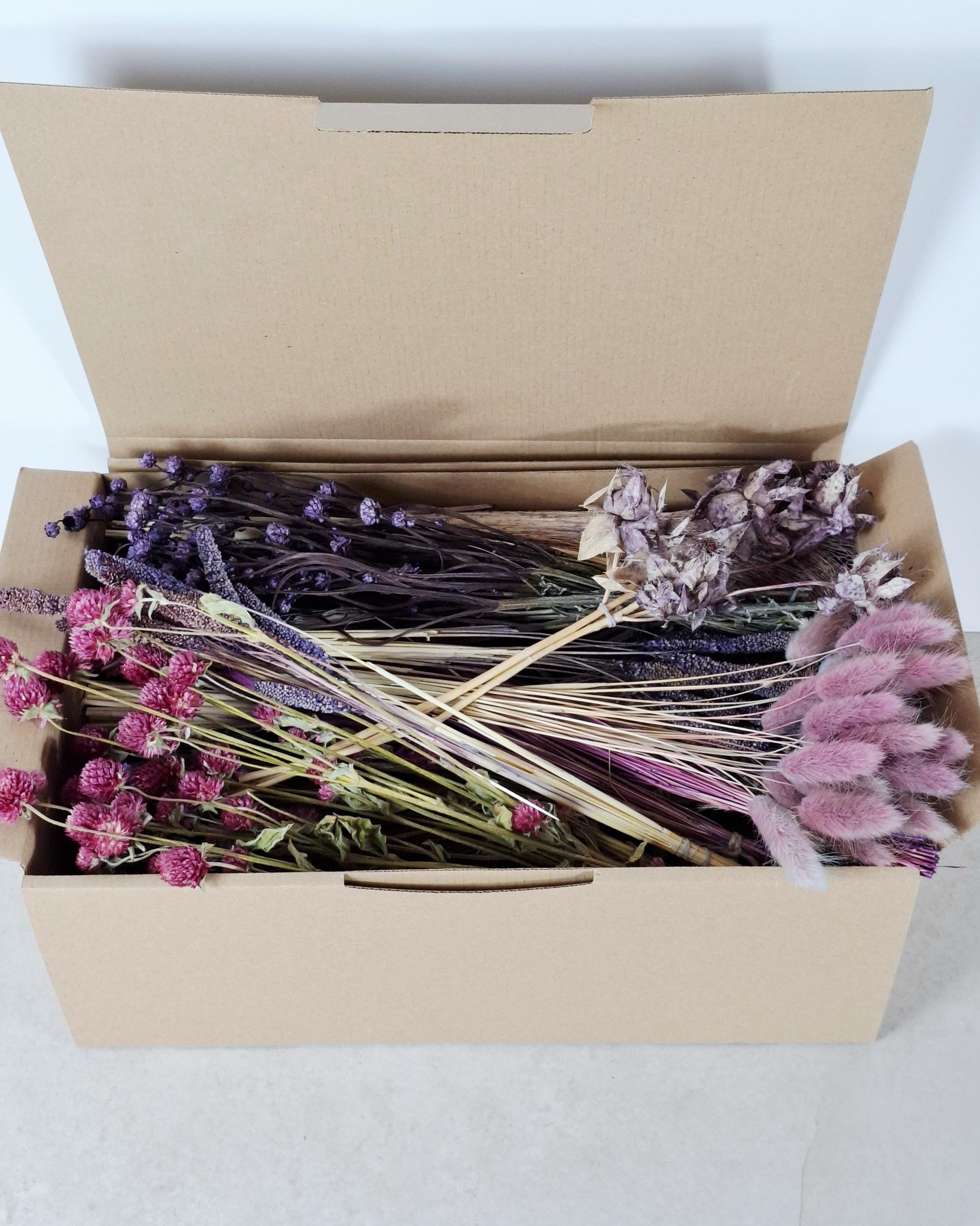 Purple & Pink Dried Flower Box for Crafts – Lavender Botanical DIY Kit, Romantic Floral Supply Box for Resin Art Decor