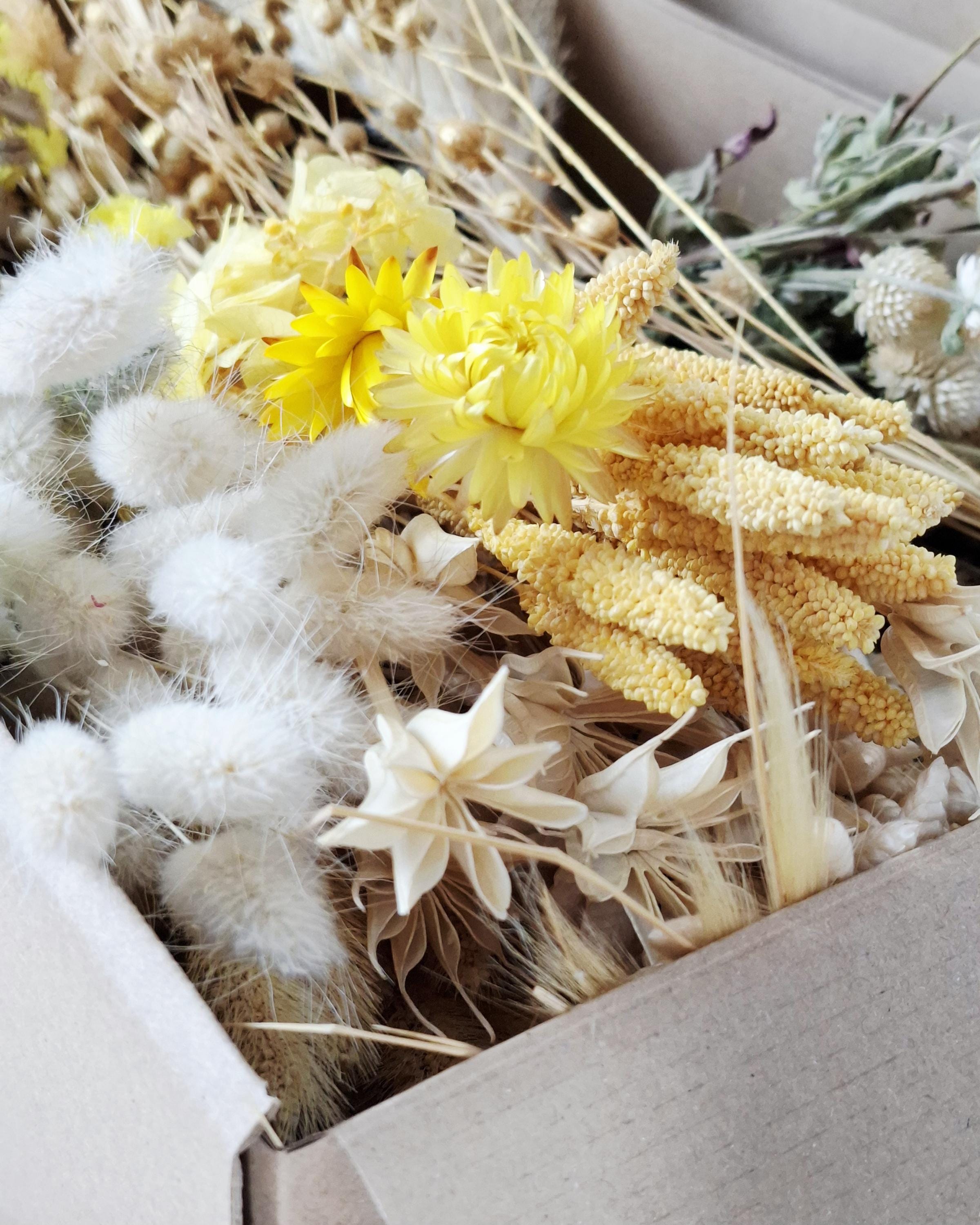 Yellow Beige Dried Flower Box for Crafts – Neutral Botanical DIY Kit, Natural Floral Supply for Resin Art & Home Decor