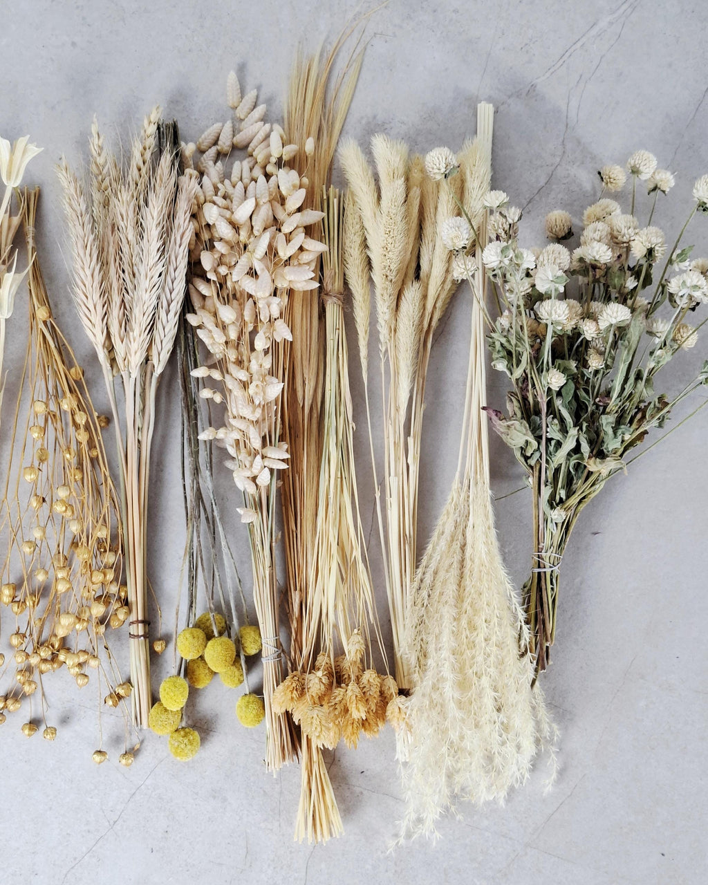 Yellow Beige Dried Flower Box for Crafts – Neutral Botanical DIY Kit, Natural Floral Supply for Resin Art & Home Decor