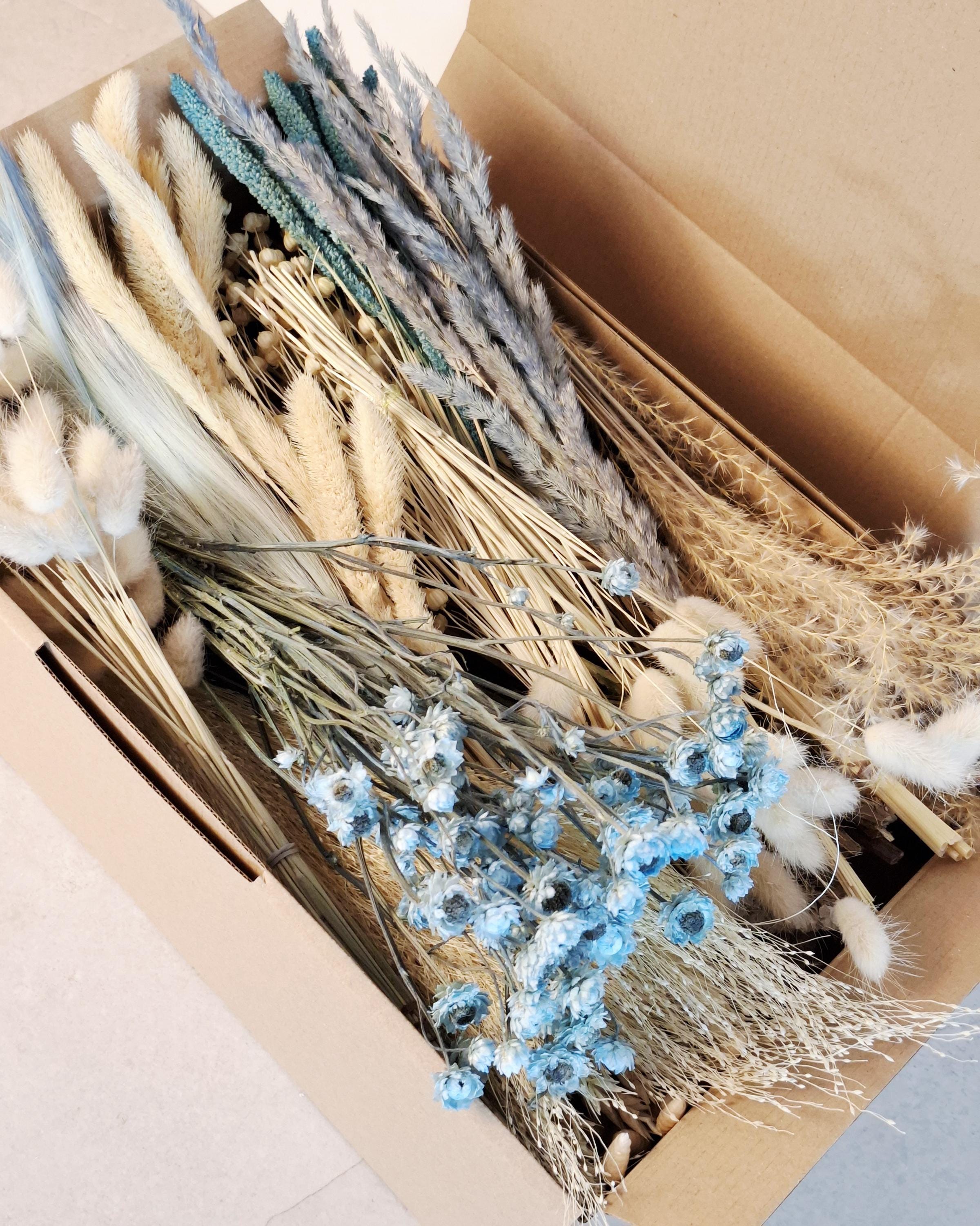 Blue Beige Dried Flower Craft Box – Natural Dried Flowers Mix for DIY Decor, Floral Arrangements, Resin Art & Wedding Crafts