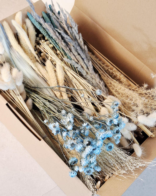 Blue Beige Dried Flower Craft Box – Natural Dried Flowers Mix for DIY Decor, Floral Arrangements, Resin Art & Wedding Crafts