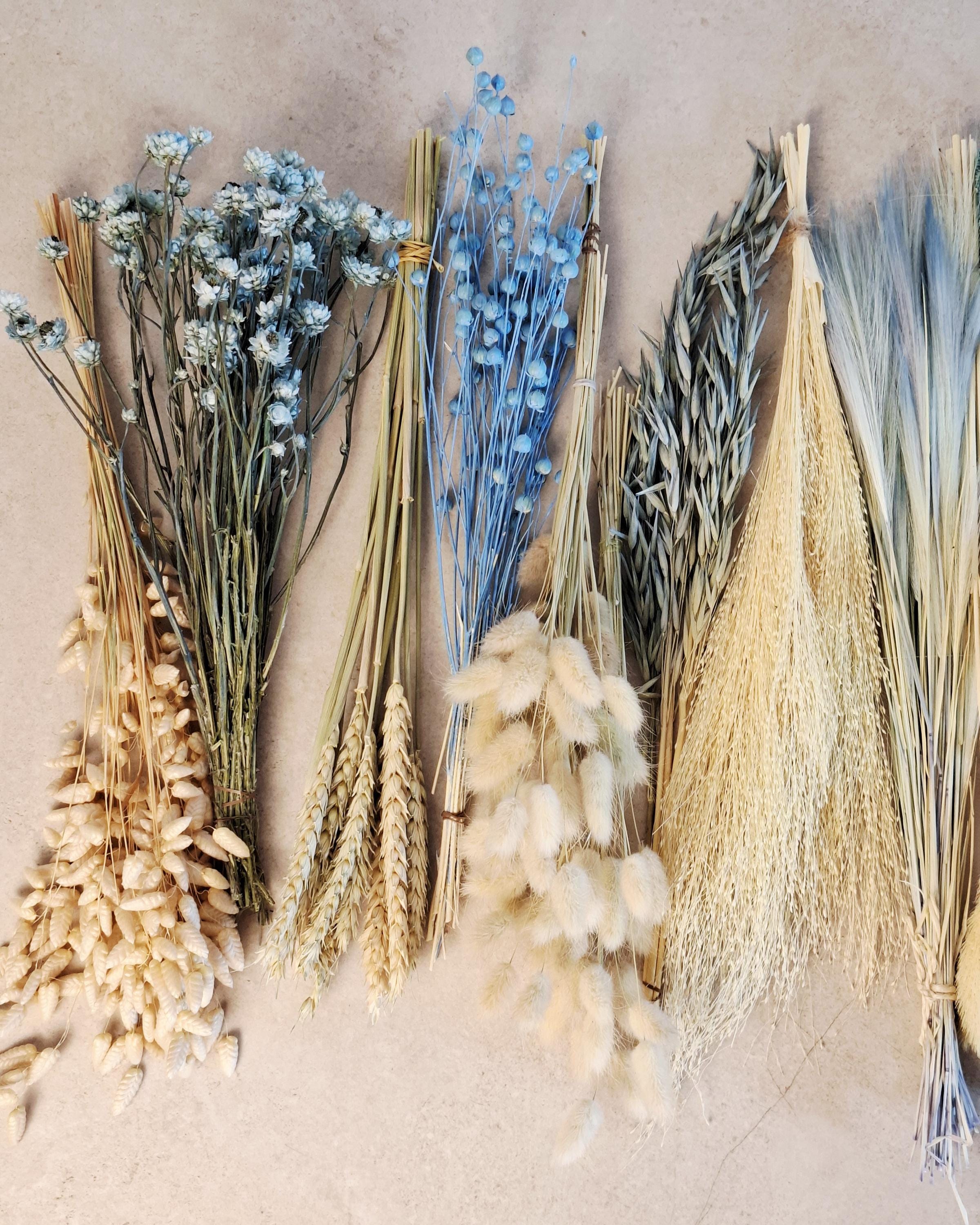 Blue Beige Dried Flower Craft Box – Natural Dried Flowers Mix for DIY Decor, Floral Arrangements, Resin Art & Wedding Crafts