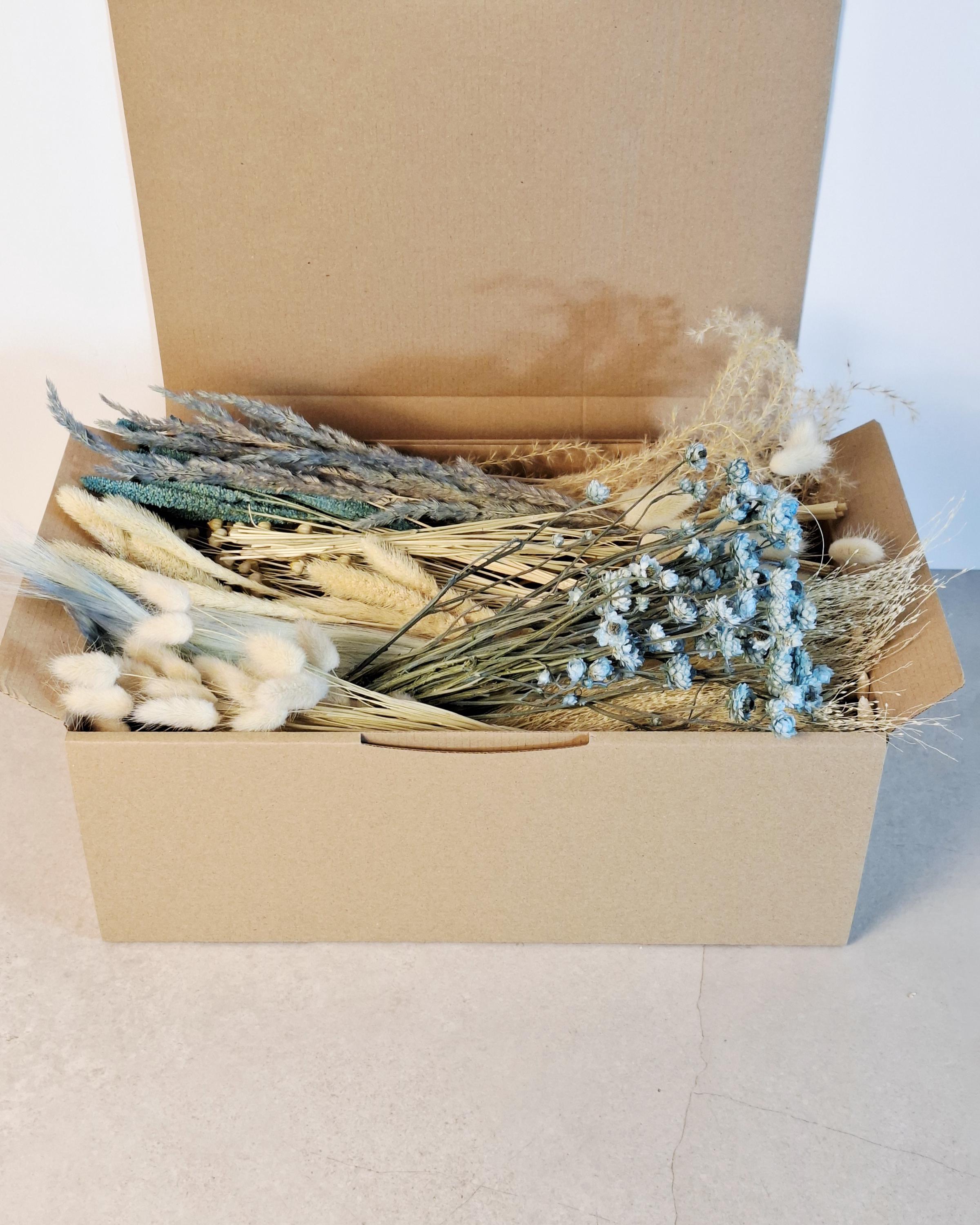Blue Beige Dried Flower Craft Box – Natural Dried Flowers Mix for DIY Decor, Floral Arrangements, Resin Art & Wedding Crafts