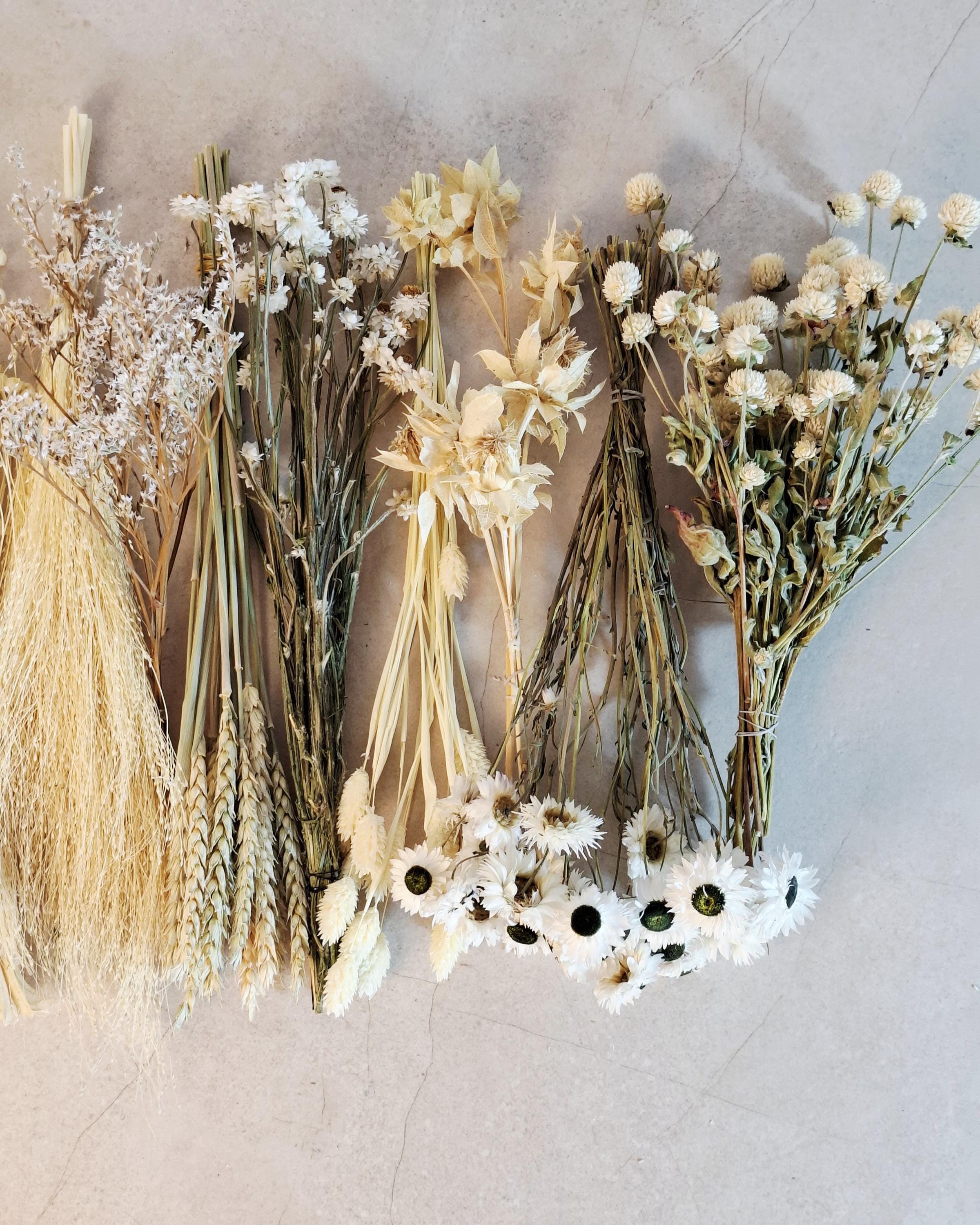 Natural Dried Flower Box for Crafts – Neutral Botanical DIY Kit, Beige Floral Supply Box for Resin Art & Decor