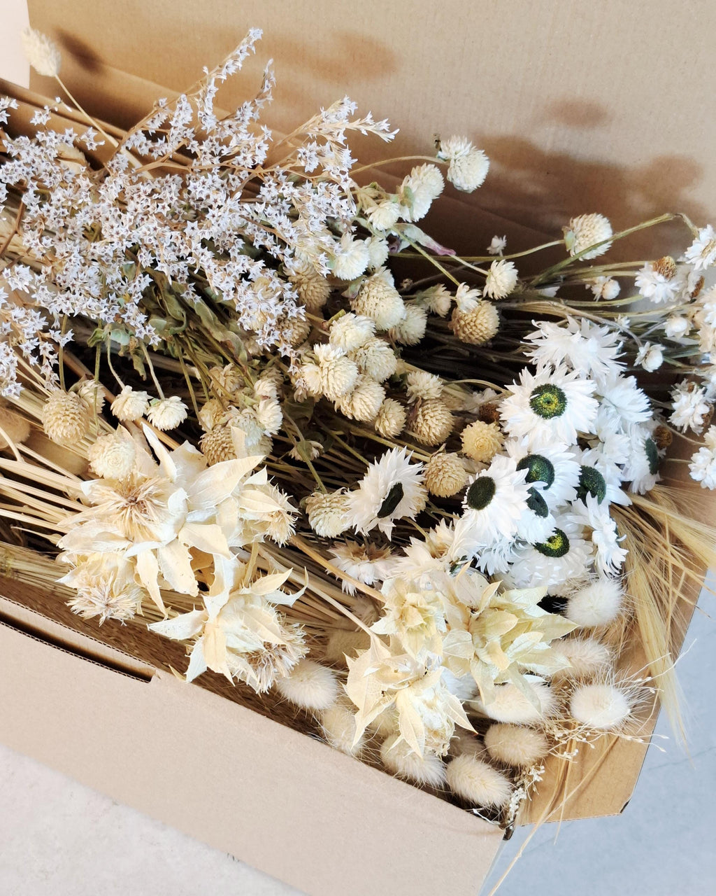 Natural Dried Flower Box for Crafts – Neutral Botanical DIY Kit, Beige Floral Supply Box for Resin Art & Decor