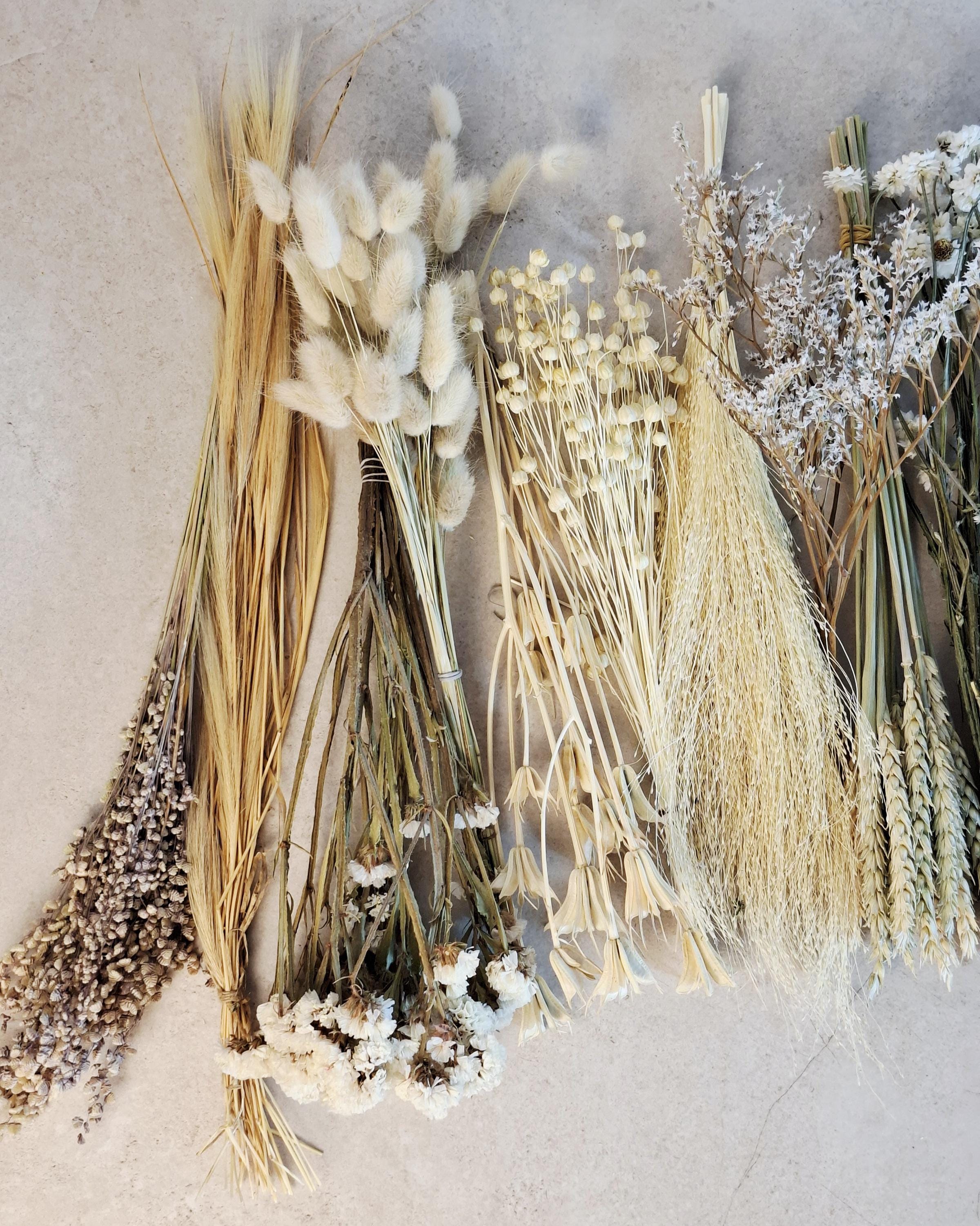 Natural Dried Flower Box for Crafts – Neutral Botanical DIY Kit, Beige Floral Supply Box for Resin Art & Decor