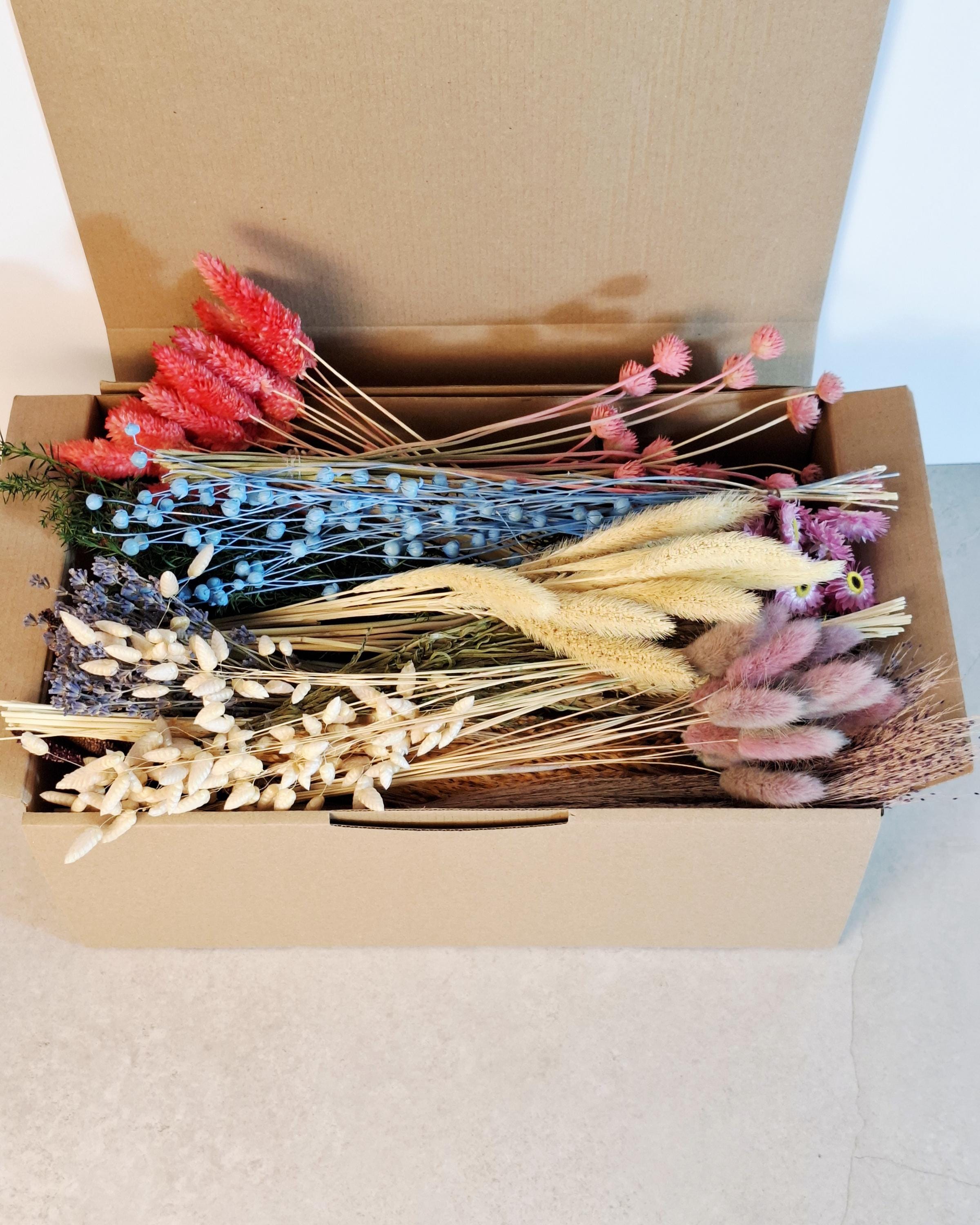 Bright Rainbow Dried Flower Box for Crafts – DIY Floral Kit for Resin Art, Candles, Scrapbooking & Decor