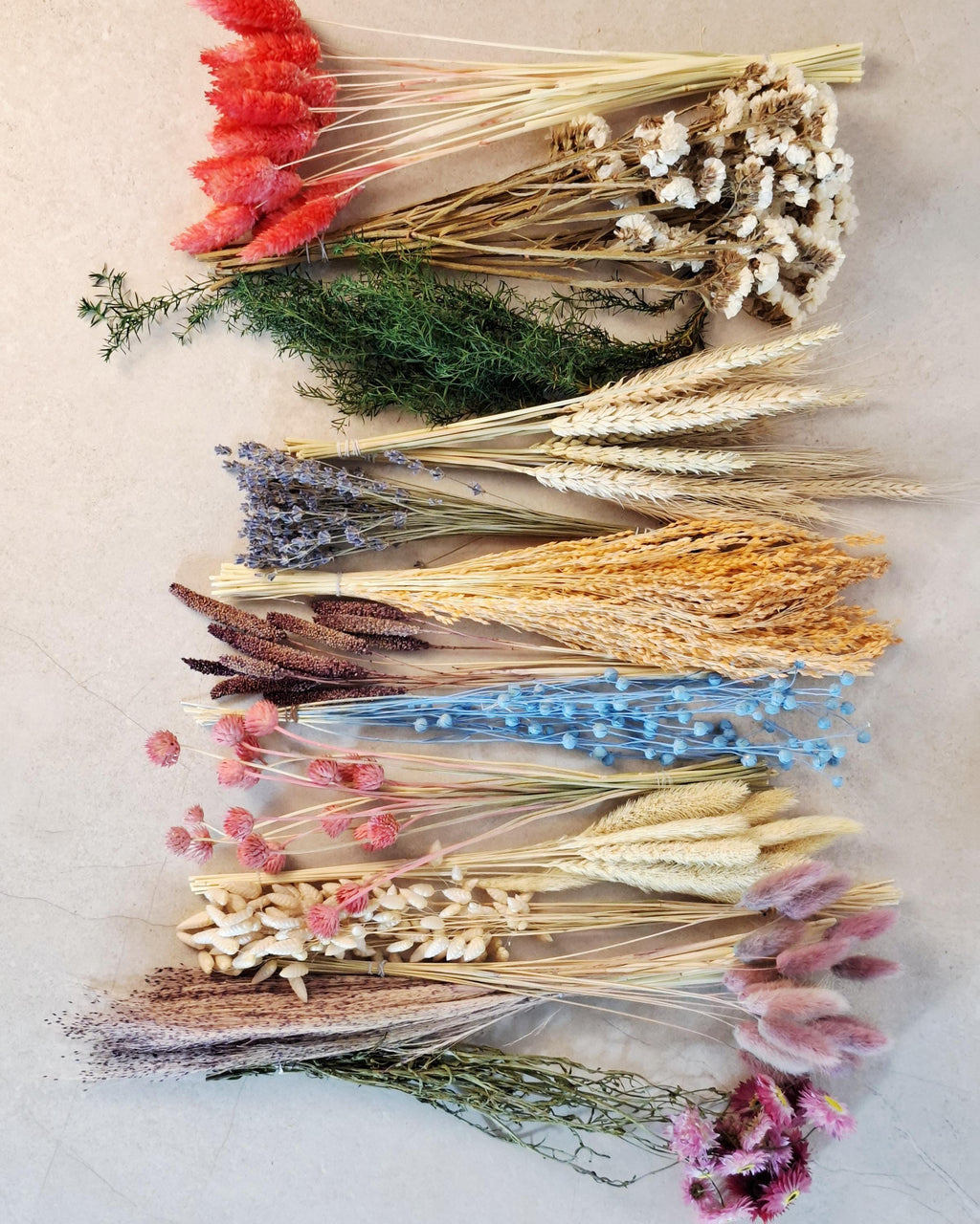 Bright Rainbow Dried Flower Box for Crafts – DIY Floral Kit for Resin Art, Candles, Scrapbooking & Decor