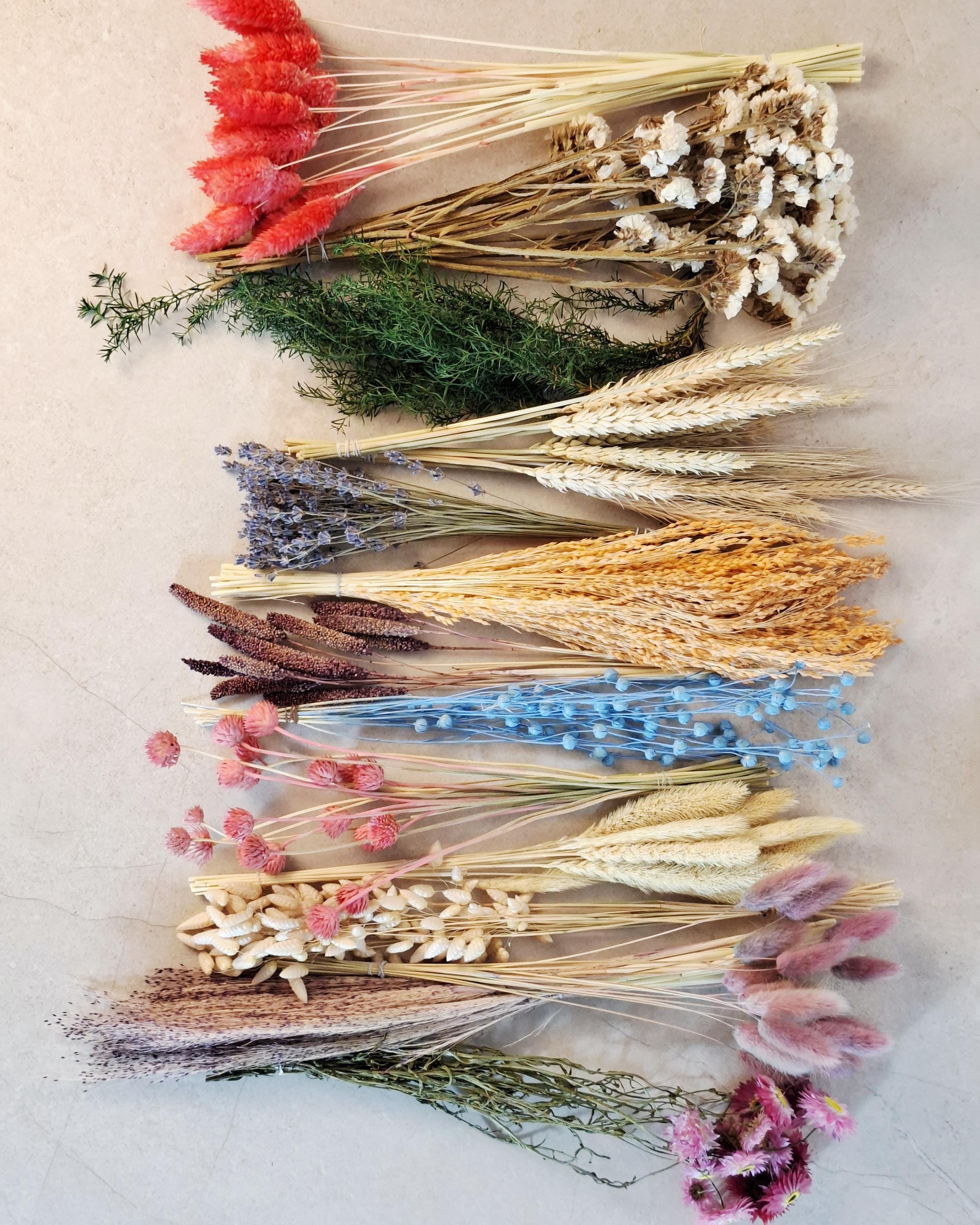 Bright Rainbow Dried Flower Box for Crafts – DIY Floral Kit for Resin Art, Candles, Scrapbooking & Decor
