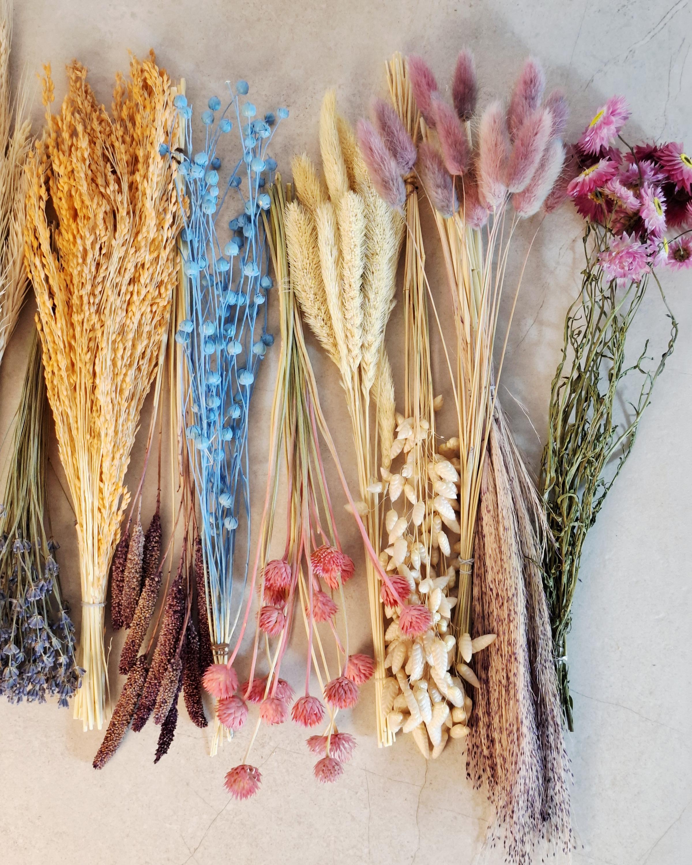 Bright Rainbow Dried Flower Box for Crafts – DIY Floral Kit for Resin Art, Candles, Scrapbooking & Decor