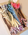 Bright Rainbow Dried Flower Box for Crafts – DIY Floral Kit for Resin Art, Candles, Scrapbooking & Decor