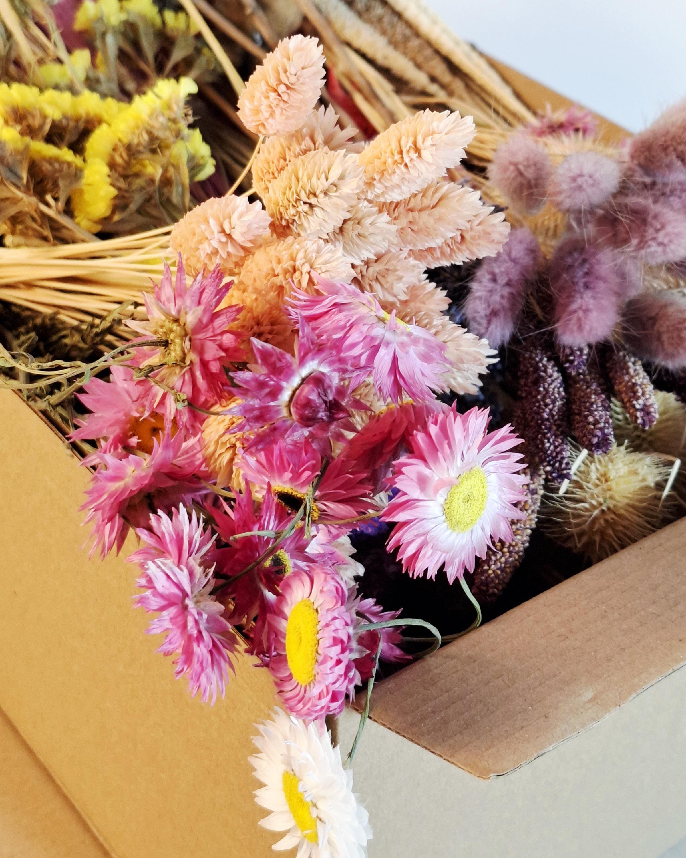 Bright Wildflower Dried Flower Box for Crafts – Colorful DIY Floral Kit for Resin Art, Candles & Decor