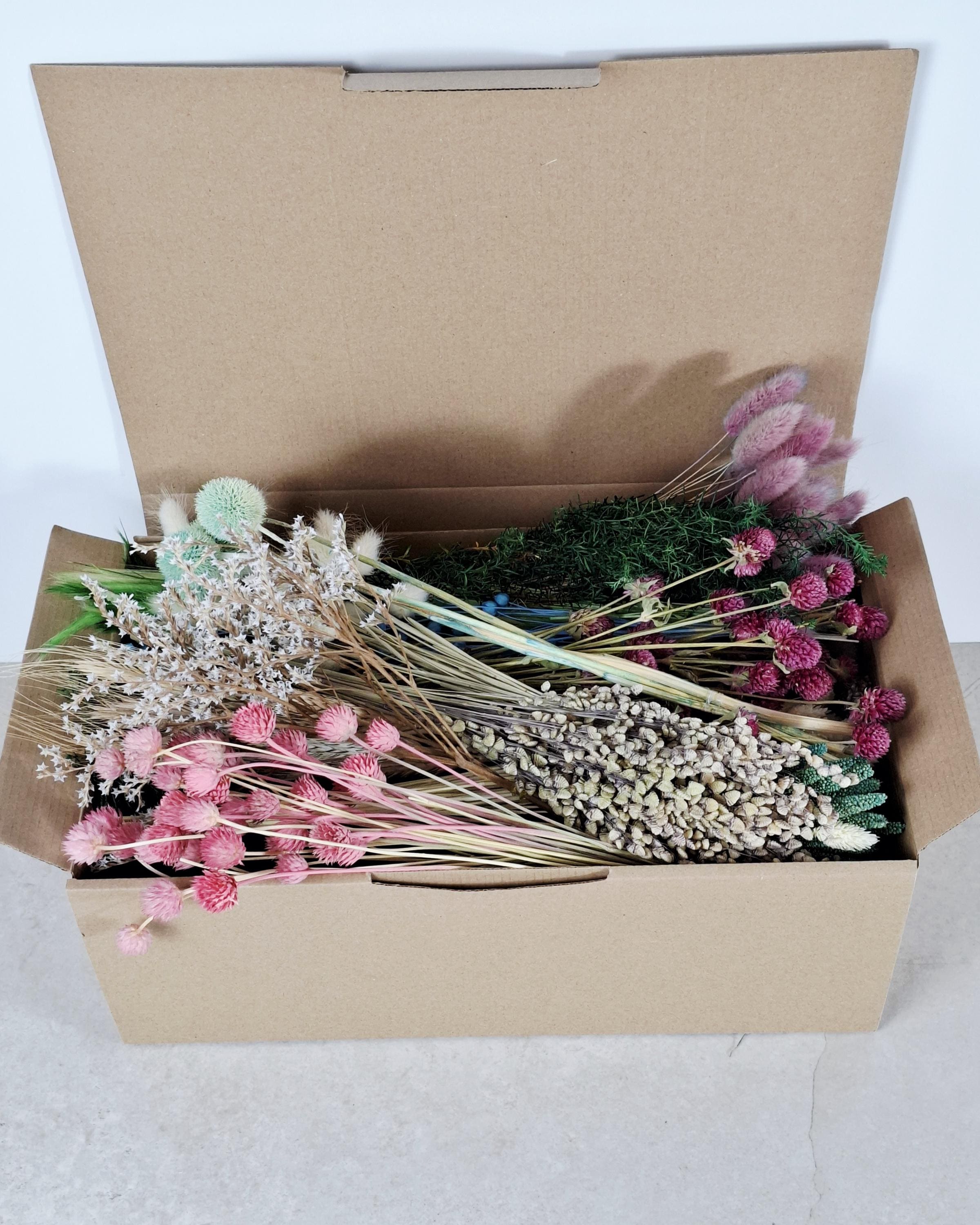 Rainbow Dried Flower Box for Crafts – DIY Dried Flower Box, Floral Craft Kit, Florist Supplies & Botanical Decor