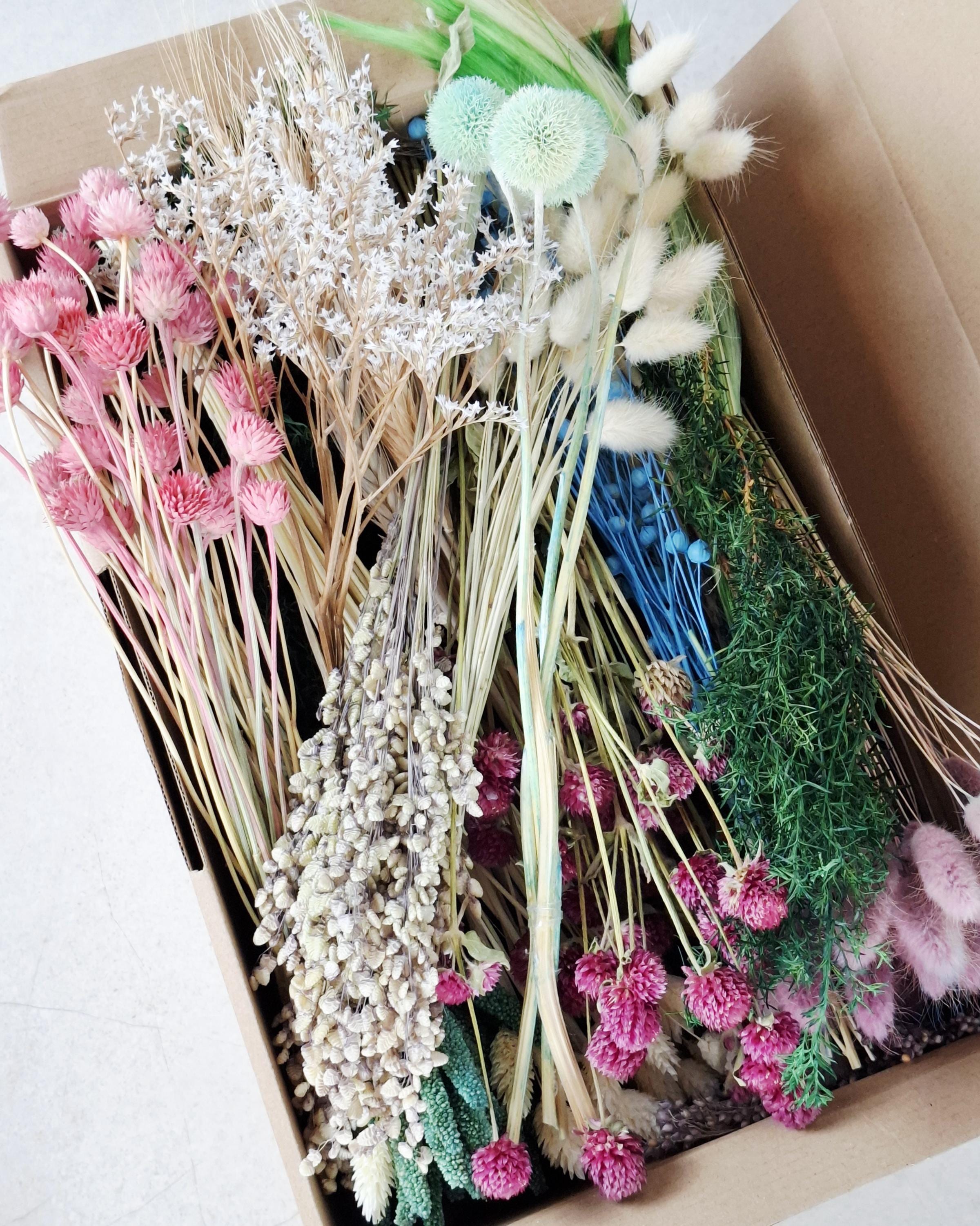 Rainbow Dried Flower Box for Crafts – DIY Dried Flower Box, Floral Craft Kit, Florist Supplies & Botanical Decor