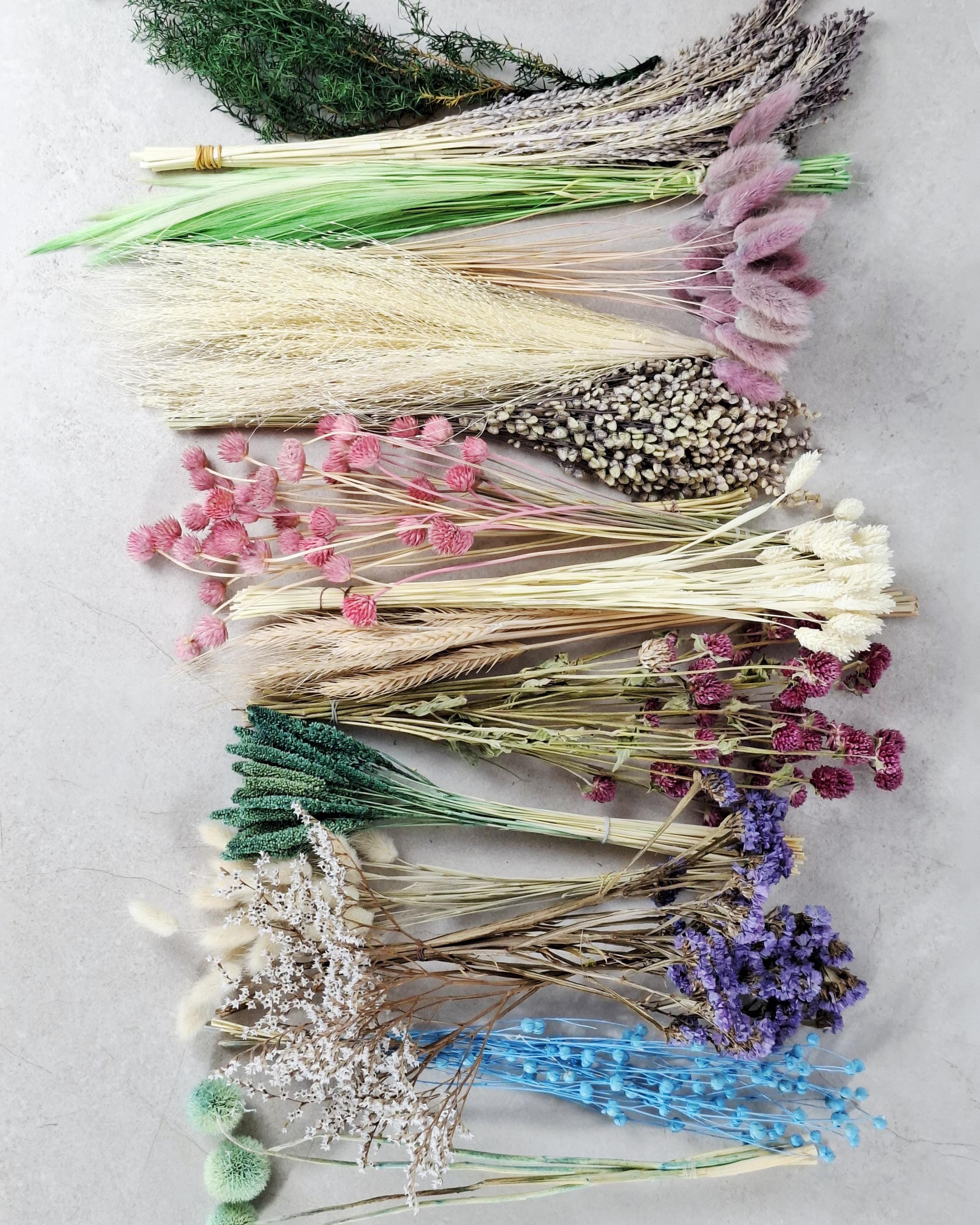 Rainbow Dried Flower Box for Crafts – DIY Dried Flower Box, Floral Craft Kit, Florist Supplies & Botanical Decor
