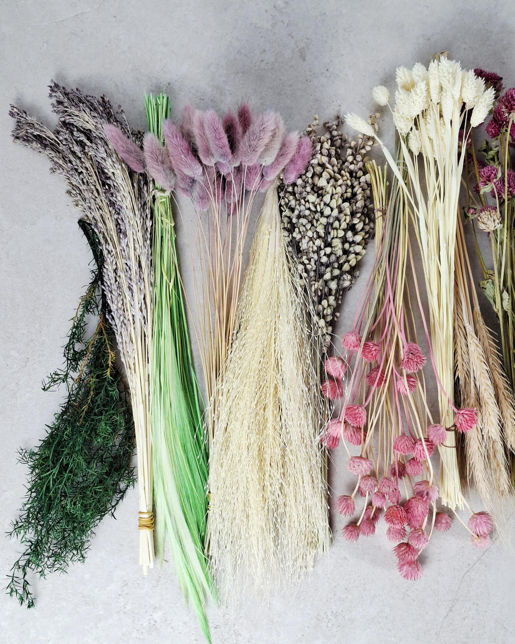 Rainbow Dried Flower Box for Crafts – DIY Dried Flower Box, Floral Craft Kit, Florist Supplies & Botanical Decor