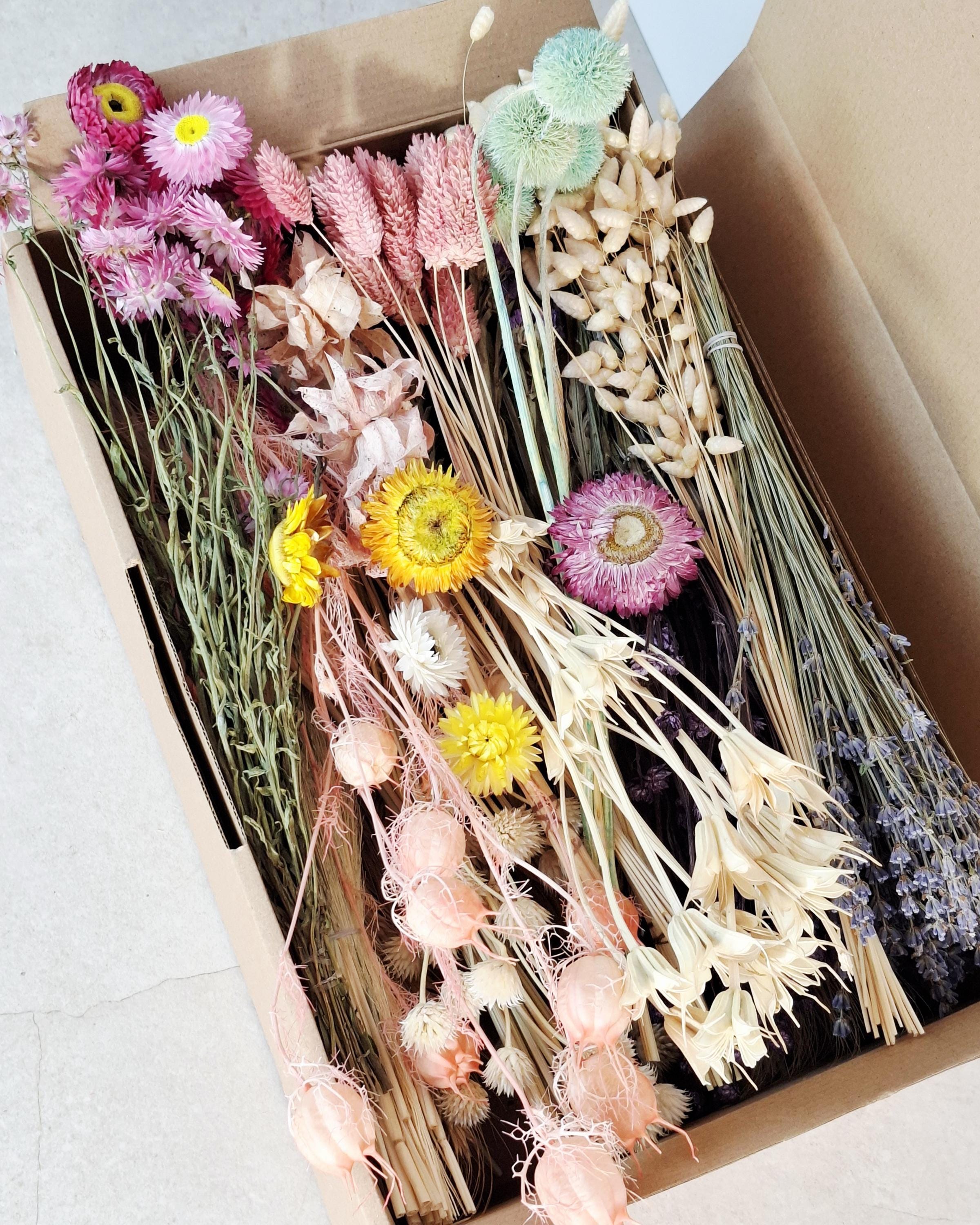 Dried Flower Box, DIY Dried Flower Box, Floral Craft Kit, Dried Flower Kit, Florist Supplies, Dried Flower Mix