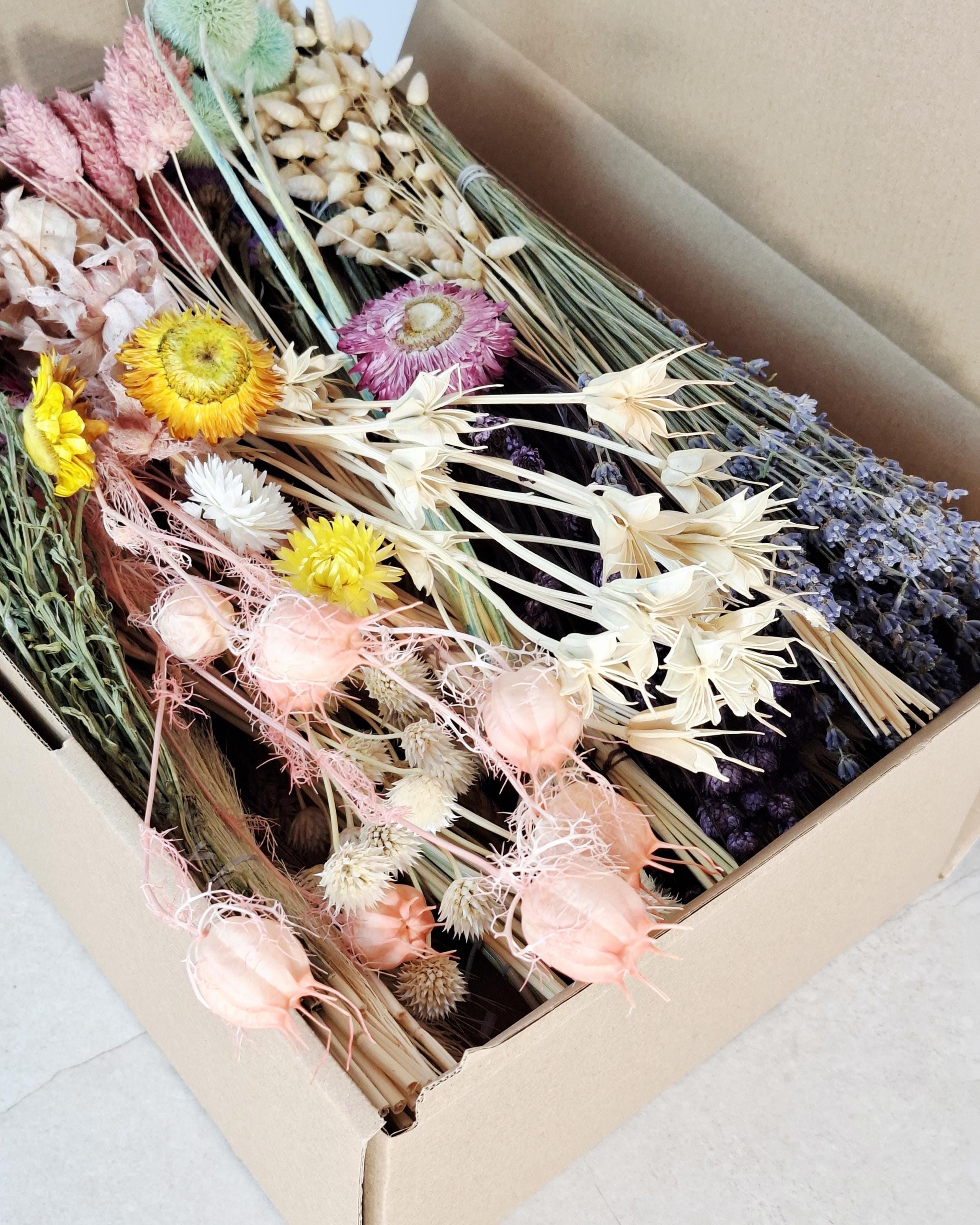 Dried Flower Box, DIY Dried Flower Box, Floral Craft Kit, Dried Flower Kit, Florist Supplies, Dried Flower Mix