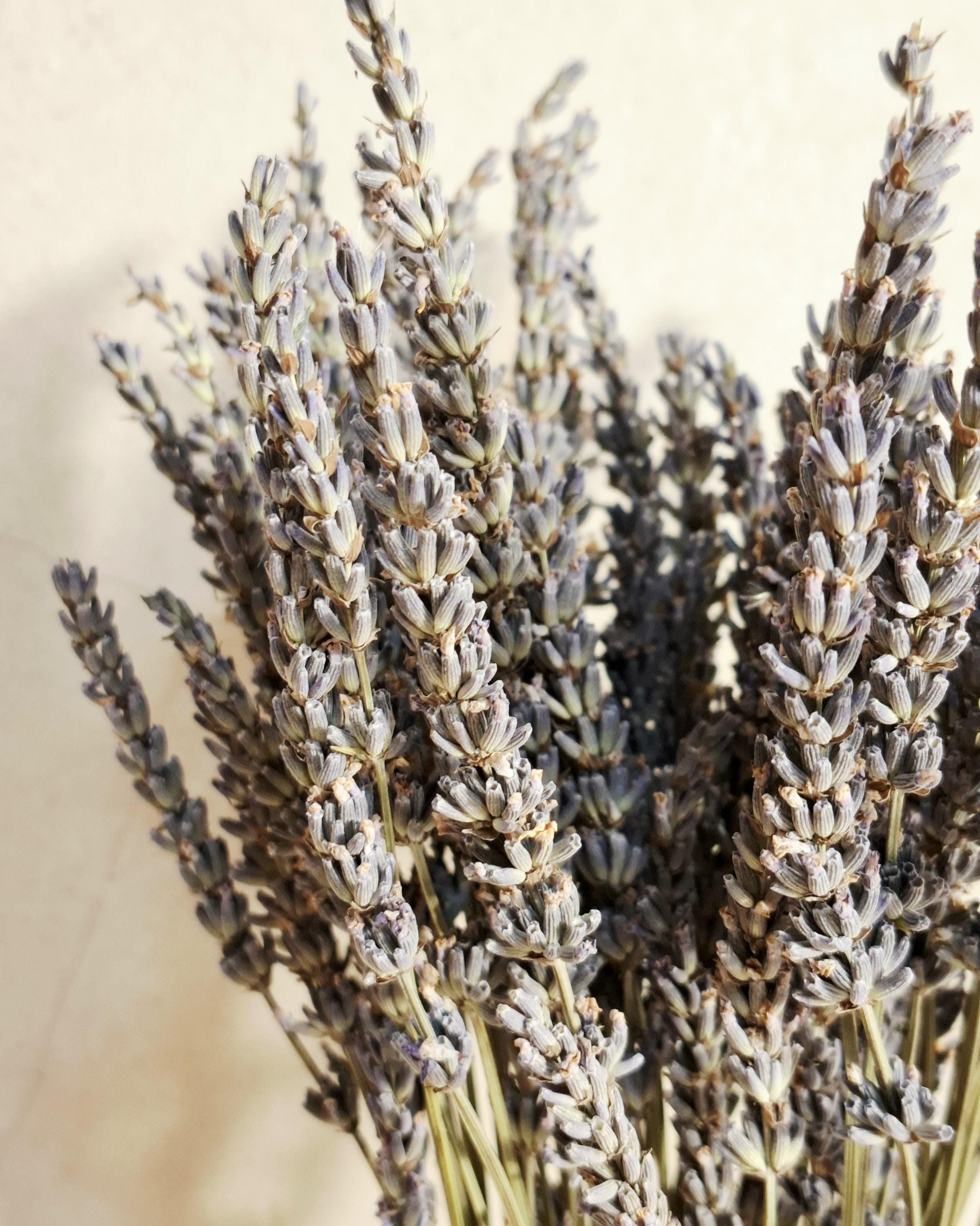 Dried Lavender Bouquet, Lavender Dried Flowers, Neutral Wedding Bouquet, Rustic Home Decor, Purple Dried Flowers, Farmhouse Decor