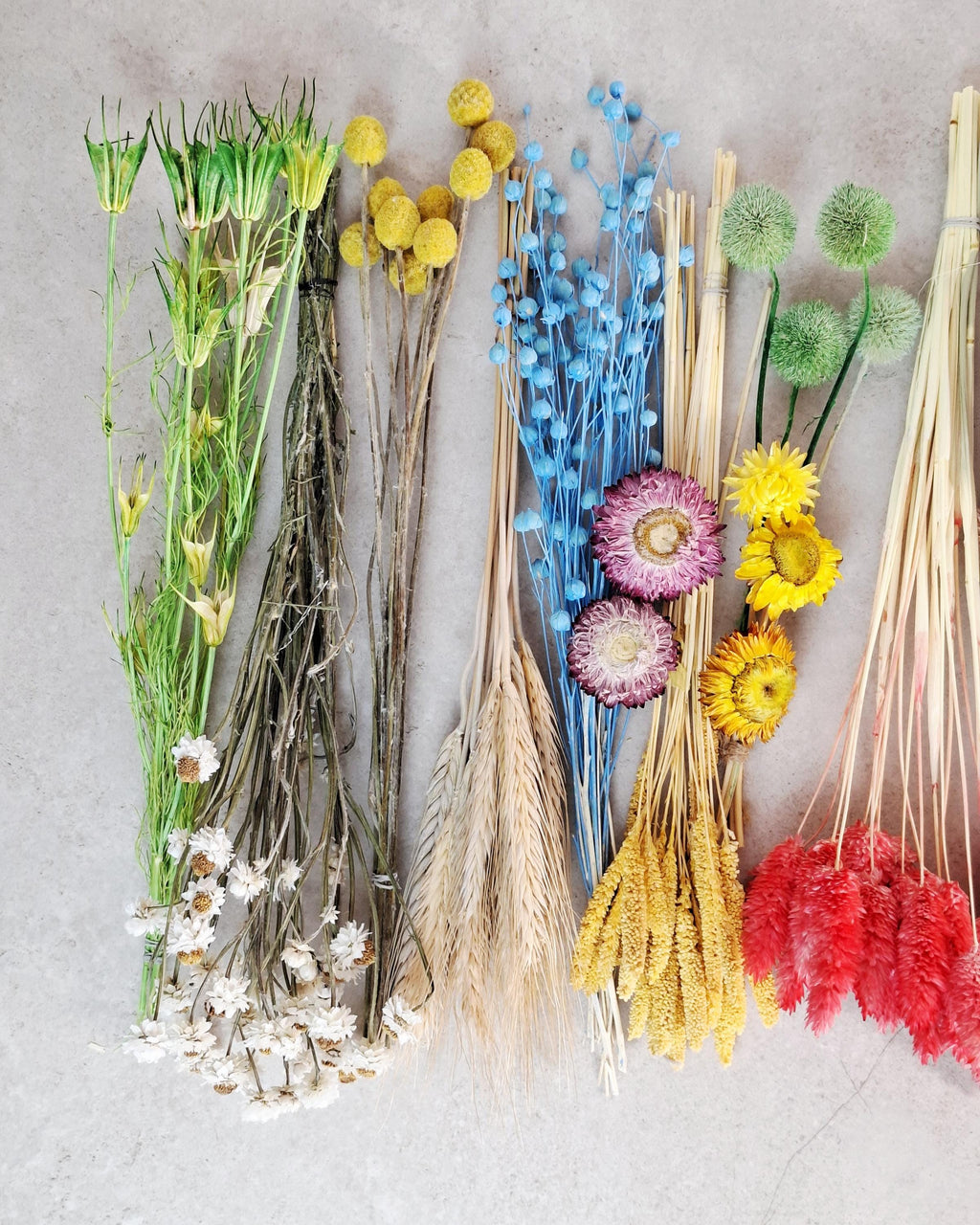 Dried Flower Box, DIY Dried Flower Box, Floral Craft Kit, Dried Flower Mix, Florist Supplies, Dried Flowers for Crafts