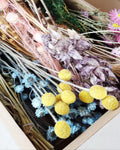 Dried Flower Box, DIY Dried Flower Box, Floral Craft Kit, Botanical Dried Flowers, Florist Supplies, Dried Flower Mix