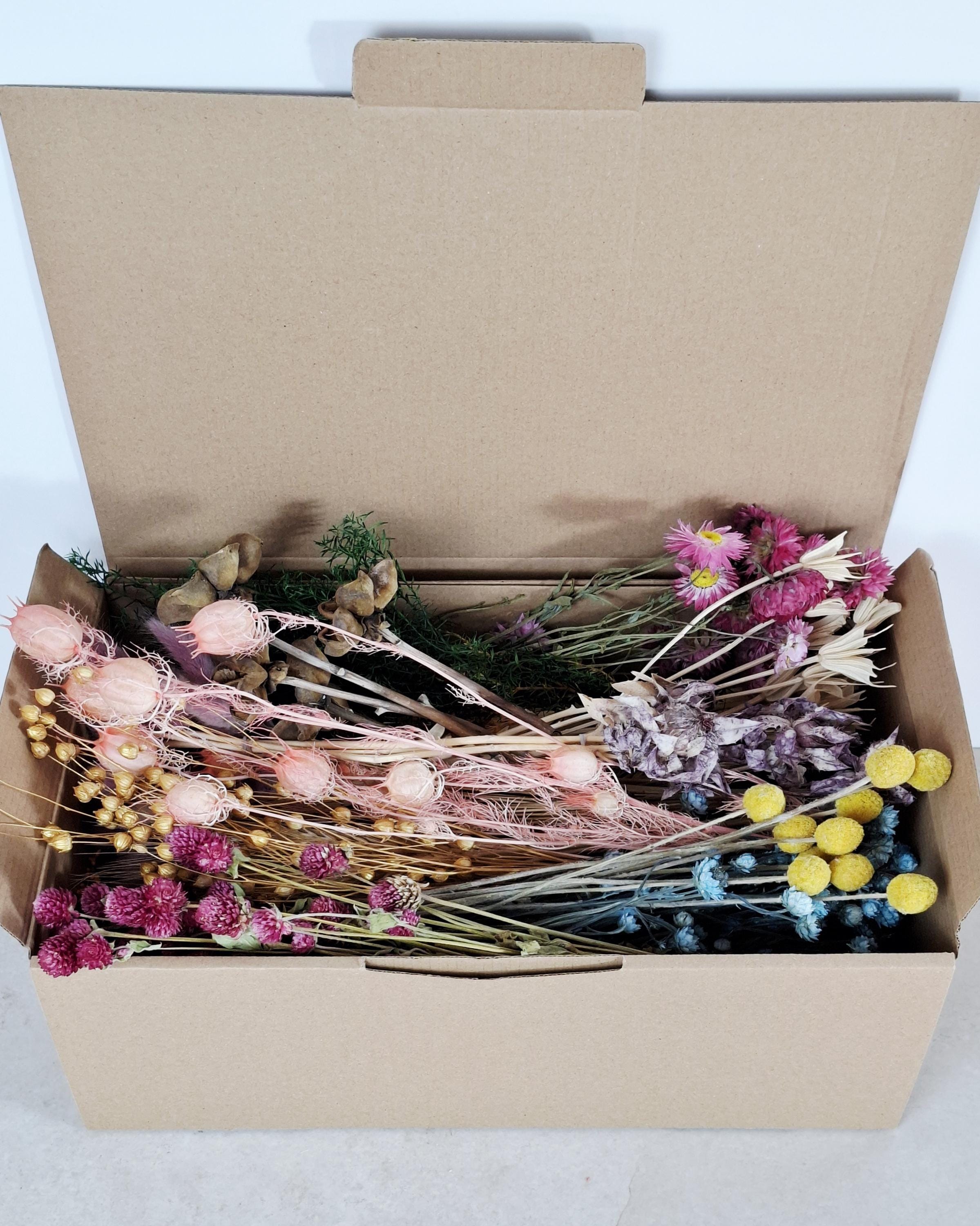 Dried Flower Box, DIY Dried Flower Box, Floral Craft Kit, Botanical Dried Flowers, Florist Supplies, Dried Flower Mix