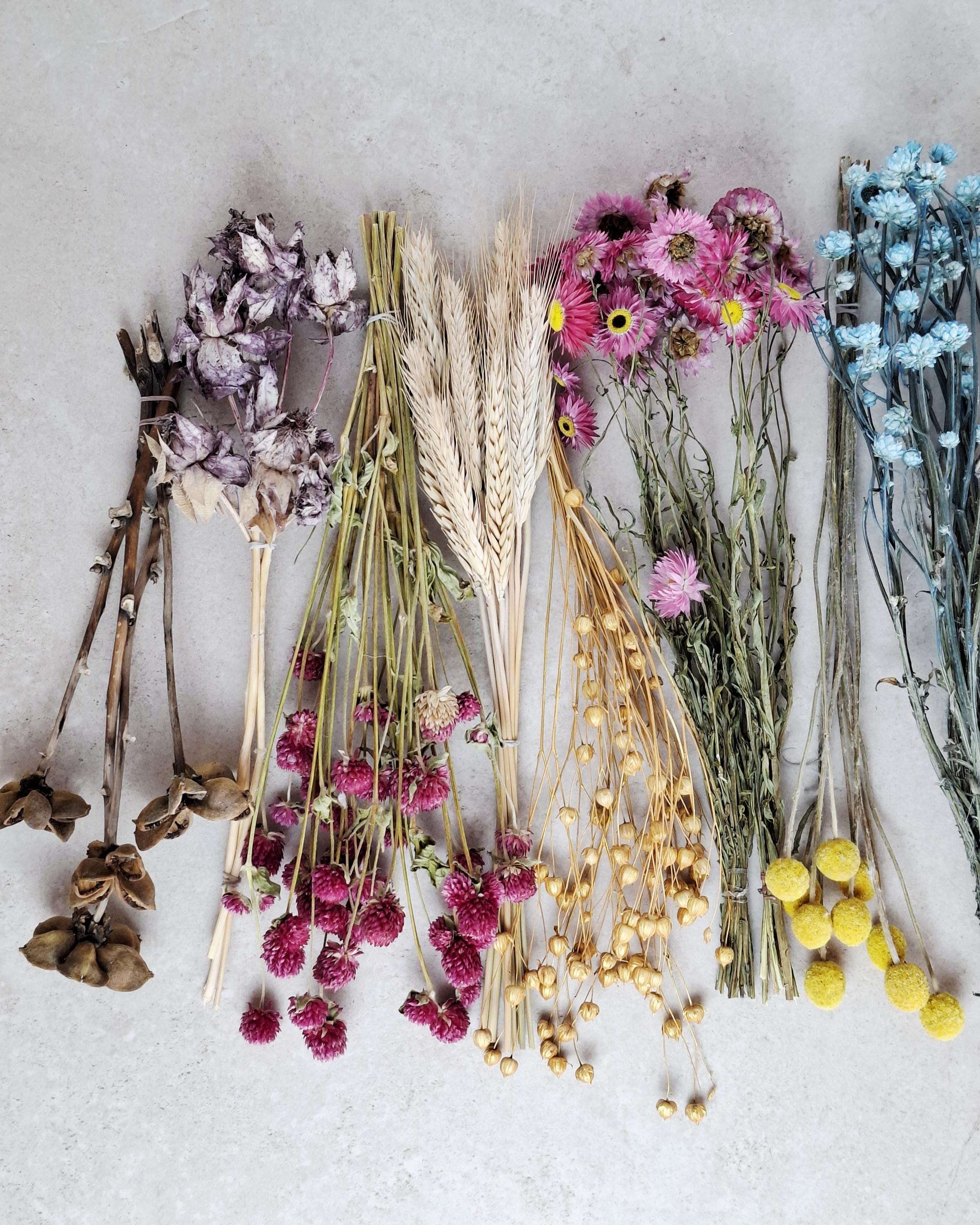 Dried Flower Box, DIY Dried Flower Box, Floral Craft Kit, Botanical Dried Flowers, Florist Supplies, Dried Flower Mix
