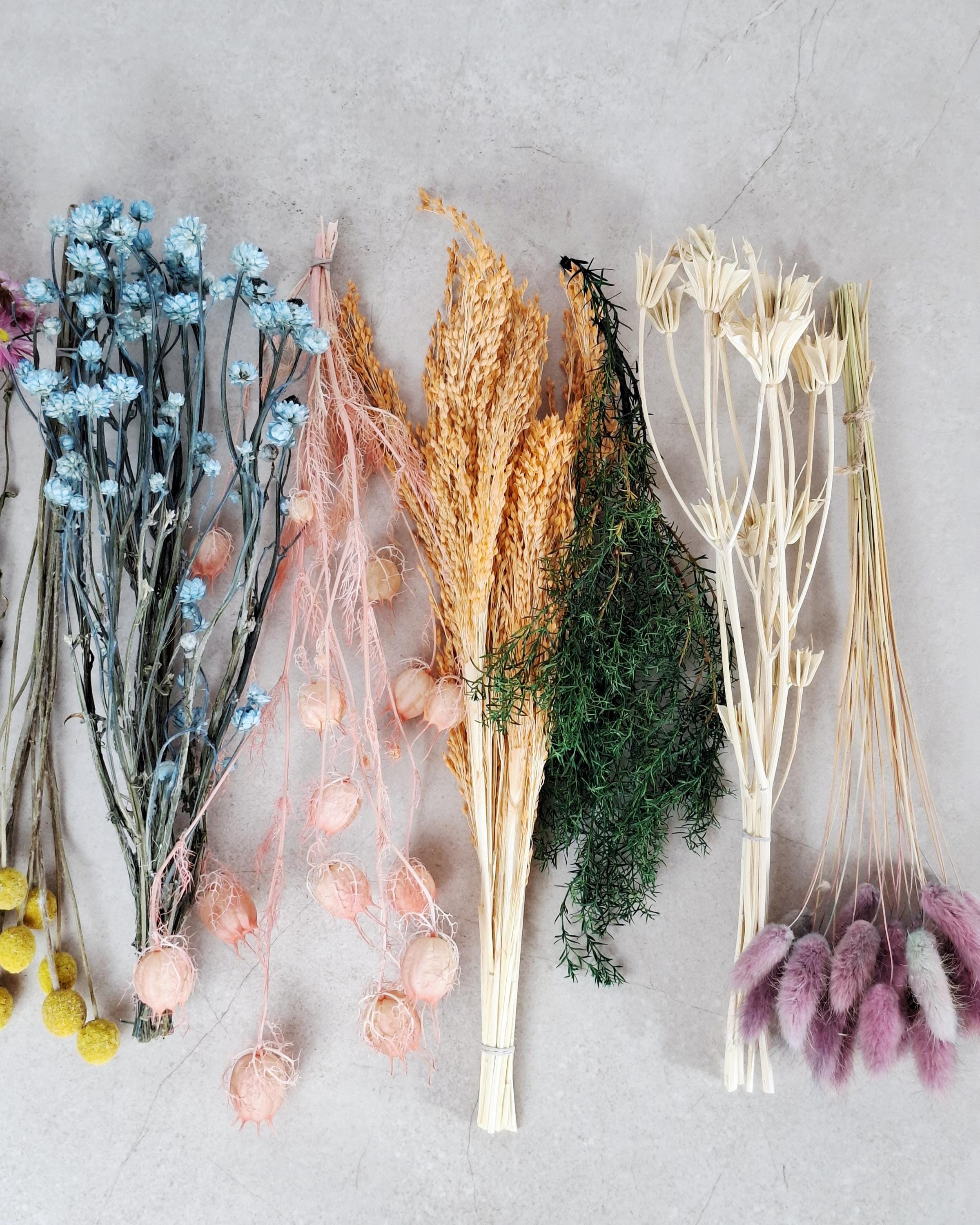 Dried Flower Box, DIY Dried Flower Box, Floral Craft Kit, Botanical Dried Flowers, Florist Supplies, Dried Flower Mix