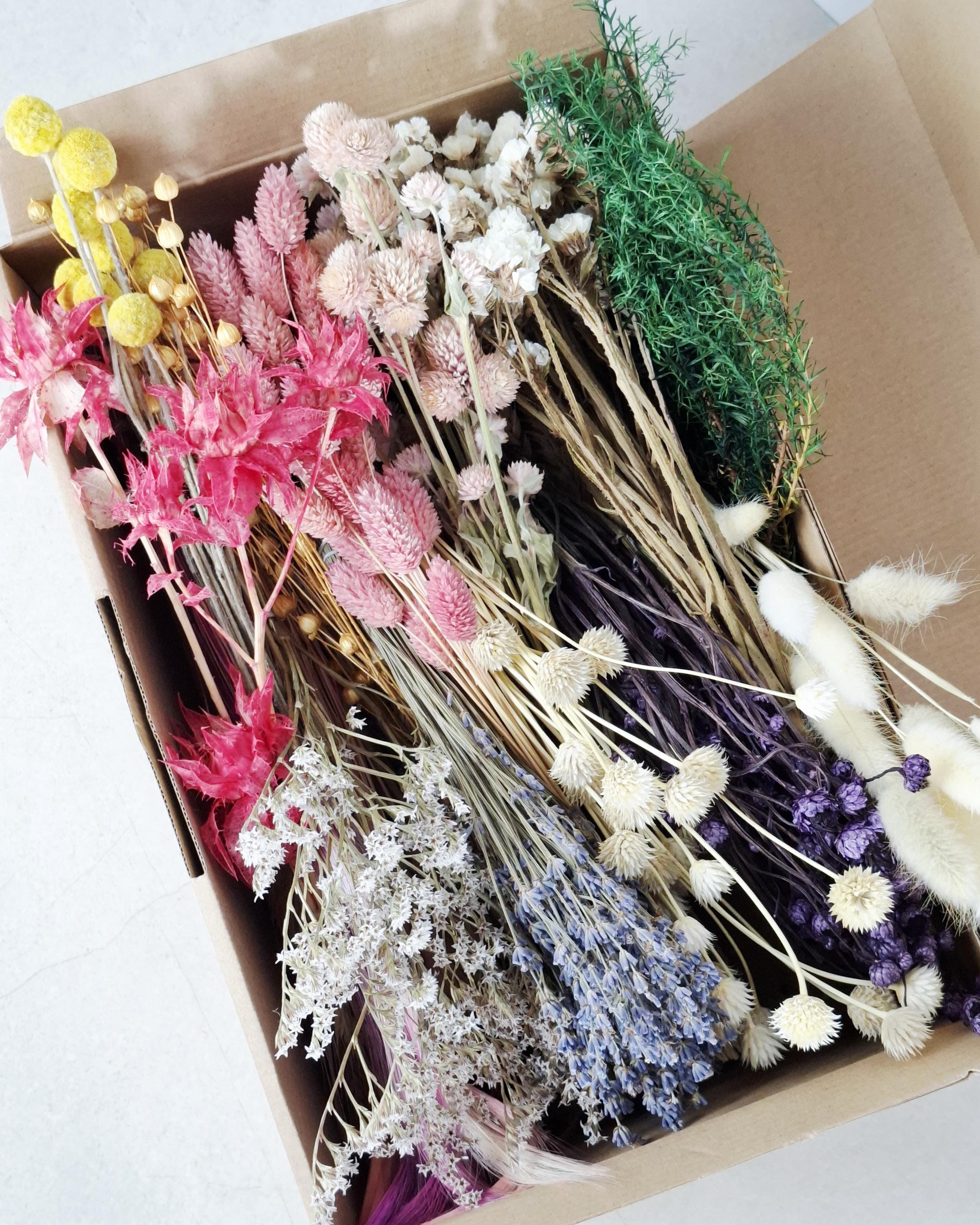 Pastel Dried Flower Box | Lavender & Lagurus Mix | Boho Floral Craft Kit | Pink Purple Dried Flowers | Florist Supplies for DIY Decor