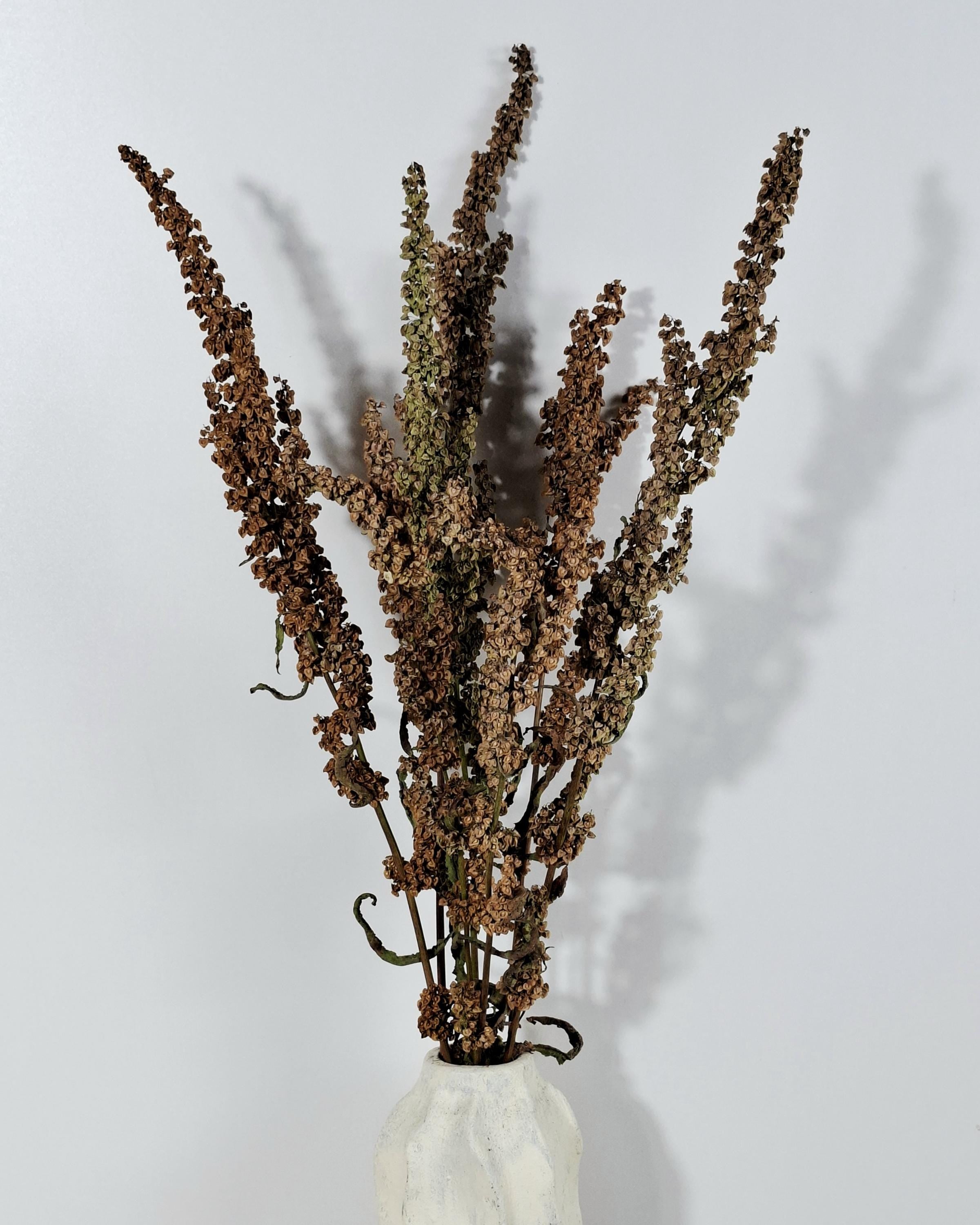 Dried Flower Stems Green Brown | Wild Dock Bouquet | Neutral Dried Flowers | Sculptural Botanical Decor | Florist Dried Flowers